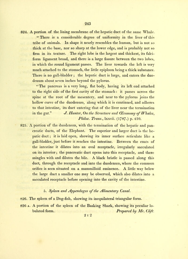 824. A portion of the lining membrane of the hepatic duct of the same Whale. *' There is a considerable degree of uniformity in the liver of this tribe of animals. In shape it nearly resembles the human, but is not so thick at the base, nor so sharp at the lower edge, and is probably not so firm in its texture. The right lobe is the largest and thickest, its falci- form ligament broad, and there is a large fissure between the two lobes, in which the round hgament passes. The liver towards the left is very much attached to the stomach, the little epiploon being a thick substance. There is no gall-bladder ; the hepatic duct is large, and enters the duo- denum about seven inches beyond the pylorus.  The pancreas is a very long, flat body, having its left end attached to the right side of the first cavity of the stomach : it passes across the spine at the root of the mesentery, and near to the pylorus joins the hollow curve of the duodenum, along which it is continued, and adheres to that intestine, its duct entering that of the liver near the termination in the gut. J. Hunter, On the Structure and (Economy of JVhales, Philos. Trans., Ixxvii. (1787.) p. 410. 825. A portion of the duodenum, with the termination of the hepatic and pan- creatic ducts, of the Elephant. The superior and larger duct is the he- , patic duct; it is laid open, showing its inner surface reticulate like a gall-bladder, just before it reaches the intestine. Between the coats of the intestine it dilates into an oval receptacle, irregularly sacculated on its interior; the pancreatic duct opens into this receptacle, and there mingles with and dilutes the bile. A black bristle is passed along this duct, through the receptacle and into the duodenum, where the common orifice is seen situated on a mammilloid eminence. A little way below the large duct a smaller one may be observed, which also dilates into a sacculated receptacle before opening into the cavity of the intestine. 5. Spleen and Appendages of the Alimentary Canal. 826. The spleen of a Dog-fish, showing its inequilateral triangular form. 826 A. A portion of the spleen of the Basking Shark, showing its peculiar lo- bulated form. Prepared by Mr. Clift. 2 I 2
