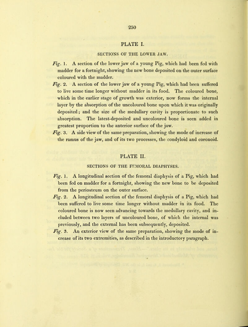 PLATE 1. SECTIONS OF THE LOWER JAW. Fig. 1. A section of the lower jaw of a young Pig, which had been fed with madder for a fortnight, showing the new bone deposited on the outer surface coloured with the madder. Fig. 2. A section of the lower jaw of a young Pig, which had been suffered to live some time longer without madder in its food. The coloured bone, which in the earlier stage of growth was exterior, now forms the internal layer by the absorption of the uncoloured bone upon which it was originally deposited; and the size of the medullary cavity is proportionate to such absorption. The latest-deposited and uncoloured bone is seen added in greatest proportion to the anterior surface of the jaw. Fig. 3. A side view of the same preparation, showing the mode of increase of the ramus of the jaw, and of its two processes, the condyloid and coronoid. PLATE IL SECTIONS OF THE FEMORAL DIAPHYSES. Fig. 1. A longitudinal section of the femoral diaphysis of a Pig, which had been fed on madder for a fortnight, showing the new bone to be deposited from the periosteum on the outer surface. Fig. 2. A longitudinal section of the femoral diaphysis of a Pig, which had been suffered to live some time longer without madder in its food. The coloured bone is now seen advancing towards the medullary cavity, and in- cluded between two layers of uncoloured bone, of which the internal was previously, and the external has been subsequently, deposited. Fig. 3. An exterior view of the same preparation, showing the mode of in- crease of its two extremities, as described in the introductory paragraph.
