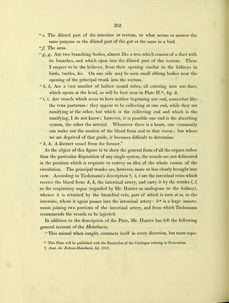  e. The dilated part of the intestine or rectum, or what seems to answer the same purpose as the dilated part of the gut at the anus in a bird. / The anus. Are two branching bodies, almost like a tree, which consist of a duct with its branches, and which open into the dilated part of the rectum. These I suspect to be the kidneys, from their opening similar to the kidneys in birds, turtles, &c. On one side may be seen small oblong bodies near the opening of the principal trunk into the rectum.  A, h, Are a vast number of hollow round tubes, all entering into one duct, which opens at the head, as will be best seen in Plate II.*, fig. 2. e, 2, Are vessels which seem to have neither beginning nor end, somewhat like the vena portarum: they appear to be collecting at one end, while they are ramifying at the other, but which is the collecting end and which is the ramifying, I do not know; however, it is possible one end is the absorbing system^ the other the arterial. Whenever there is a heart, one commonly can make out the motion of the blood from and to that viscus ; but where we are deprived of that guide, it becomes difficult to determine.  A;, k, A distinct vessel from the former. As the object of this figure is to show the general form of all the organs rather than the particular disposition of any single system, the vessels are not delineated in the position which is requisite to convey an idea of the whole course of the circulation. The principal trunks are, however, more or less clearly brought into view. According to Tiedemann's description f, i are the intestinal veins which receive the blood from k, k, the intestinal artery, and carry it by the trunks /, /, to the respiratory organ (regarded by Mr. Hunter as analogous to the kidney), whence it is returned by the branchial vein, part of which is seen at vi, to the intestine, where it again passes into the intestinal artery: ^* is a large anasto- mosis joining two portions of the intestinal artery, and from which Tiedemann recommends the vessels to be injected. In addition to the description of the Plate, Mr. Hunter has left the following general account of the Holothuria. This animal when caught, contracts itself in every direction, but more espe- * This Pkte will be published with the Fasciculus of the Catalogue relating to Generation. -)- Anat. der Rohren-Holothurie, fol. 1816.