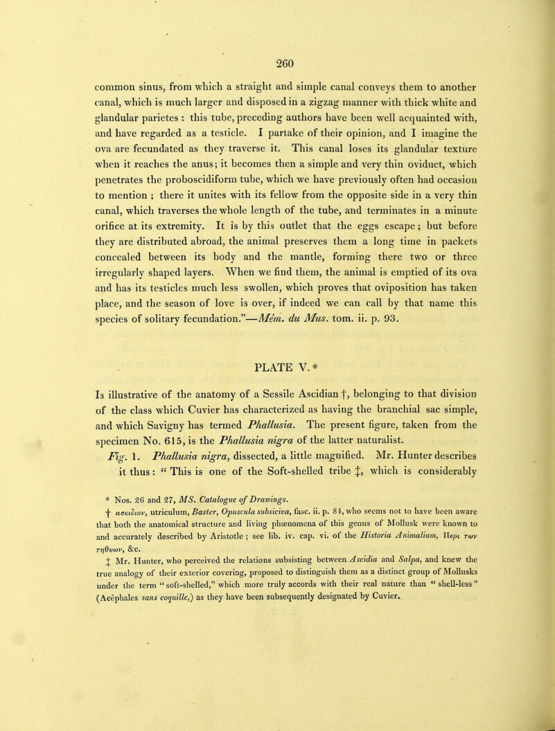 common sinus, from which a straight and simple canal conveys them to another canal, which is much larger and disposed in a zigzag manner with thick white and glandular parietes : this tube, preceding authors have been well acquainted with, and have regarded as a testicle. I partake of their opinion, and I imagine the ova are fecundated as they traverse it. This canal loses its glandular texture when it reaches the anus; it becomes then a simple and very thin oviduct, which penetrates the proboscidiform tube, which we have previously often had occasion to mention ; there it unites with its fellow from the opposite side in a very thin canal, which traverses the whole length of the tube, and terminates in a minute orifice at its extremity. It is by this outlet that the eggs escape; but before they are distributed abroad, the animal preserves them a long time in packets concealed between its body and the mantle, forming there two or three irregularly shaped layers. When we find them, the animal is emptied of its ova and has its testicles much less swollen, which proves that oviposition has taken place, and the season of love is over, if indeed we can call by that name this species of solitary fecundation.—Mem, du Mus. torn. ii. p. 93. PLATE V. * Is illustrative of the anatomy of a Sessile Ascidian f, belonging to that division of the class which Cuvier has characterized as having the branchial sac simple, and which Savigny has termed Phallusia. The present figure, taken from the specimen No, 615, is the Phallusia nigra of the latter naturalist. Fig. I. Phallusia nigra, dissected, a little magnified. Mr. Hunter describes it thus:  This is one of the Soft-shelled tribe J, which is considerably * Nos. 26 and 27, MS. Catalogue of Drawings. f aoKtliov, utriculum, Baster, Opuscula subsiciva, fasc. ii. p. 84, who seems not to have been aware that both the anatomical structure and Kving phaenomena of this genus of Mollusk were known to and accurately described by Aristotle ; see lib. iv. cap. vi. of the Historia Animalium, Tlept rwv rrjdvm', 8:c. t Mr. Hunter, who perceived the relations subsisting between Ascidia and Salpa, and knew the true analogy of their exterior covering, proposed to distinguish them as a distinct group of MoUusks under the term  soft-shelled, which more truly accords with their real nature than  shell-less (Acephales sans coquille,) as they have been subsequently designated by Cuvier.