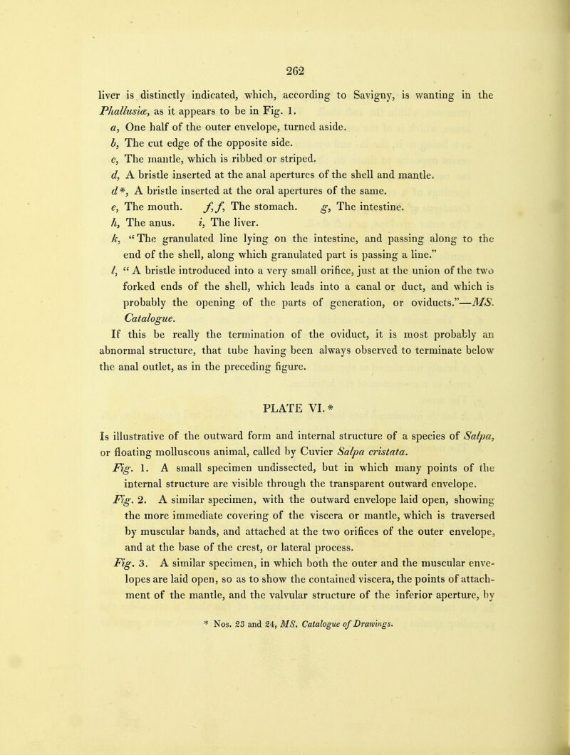 liver is distinctly indicated, which, according to Savigny, is wanting in the Phallusi(B, as it appears to be in Fig. 1. a, One half of the outer envelope, turned aside. b, The cut edge of the opposite side. c, The mantle, which is ribbed or striped. d, A bristle inserted at the anal apertures of the shell and mantle. d*, A. bristle inserted at the oral apertures of the same. e, The mouth. f,f, The stomach. The intestine. A, The anus. i, The liver. k, The granulated line lying on the intestine, and passing along to the end of the shell, along which granulated part is passing a line. /, A bristle introduced into a very small orifice, just at the union of the two forked ends of the shell, which leads into a canal or duct, and which is probably the opening of the parts of generation, or oviducts.—MS. Catalogue. If this be really the termination of the oviduct, it is most probably an abnormal structure, that tube having been always observed to terminate below the anal outlet, as in the preceding figure. PLATE VI. * Is illustrative of the outward form and internal structure of a species of Salpa, or floating molluscous animal, called by Cuvier Salpa cristata. Fig. 1. A small specimen undissected, but in which many points of the internal structure are visible through the transparent outward envelope. Fig. 2. A similar specimen, with the outward envelope laid open, showing the more immediate covering of the viscera or mantle, which is traversed by muscular bands, and attached at the two orifices of the outer envelope, and at the base of the crest, or lateral process. Fig. 3. A similar specimen, in which both the outer and the muscular enve- lopes are laid open, so as to show the contained viscera, the points of attach- ment of the mantle, and the valvular structure of the inferior aperture, by * Nos. 23 and 24, MS. Catalogue of Drawings.