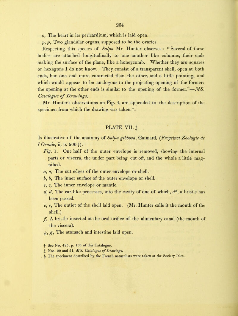 0, The heart in its pericardium, which is laid open. p, p, Two glandular organs, supposed to be the ovaries. Respecting this species of Salpa Mr. Hunter observes:  Several of these bodies are attached longitudinally to one another like columns, their ends making the surface of the plane, like a honeycomb. Whether they are squares or hexagons I do not know. They consist of a transparent shell, open at both ends, but one end more contracted than the other, and a little pointing, and which would appear to be analogous to the projecting opening of the former; the opening at the other ends is similar to the opening of the former.—MS. Catalogue of Drawings. Mr. Hunter's observations on Fig. 4, are appended to the description of the specimen from which the drawing was taken PLATE Vn.^ Is illustrative of the anatomy of Salpa gibbosa, Gaimard, {Freycinet Zoologie de rOranie, ii, p. 506 §). Fig. 1. One half of the outer envelope is removed, showing the internal parts or viscera, the under part being cut olF, and the whole a little mag- nified. a, a. The cut edges of the outer envelope or shell. b, b, The inner surface of the outer envelope or shell. c, c. The inner envelope or mantle. d, d, The ear-like processes, into the cavity of one of which, d*, a bristle has been passed. e, e. The outlet of the shell laid open. (Mr. Hunter calls it the mouth of the shell.) f, A bristle inserted at the oral orifice of the alimentary canal (the mouth of the viscera). g, g, The stomach and intestine laid open. f See No. 485, p. 135 of this Catalogue. J Nos. 20 and 21, MS, Catalogue of Drawings. § The specimens described by the French naturalists were taken at the Society Isles.