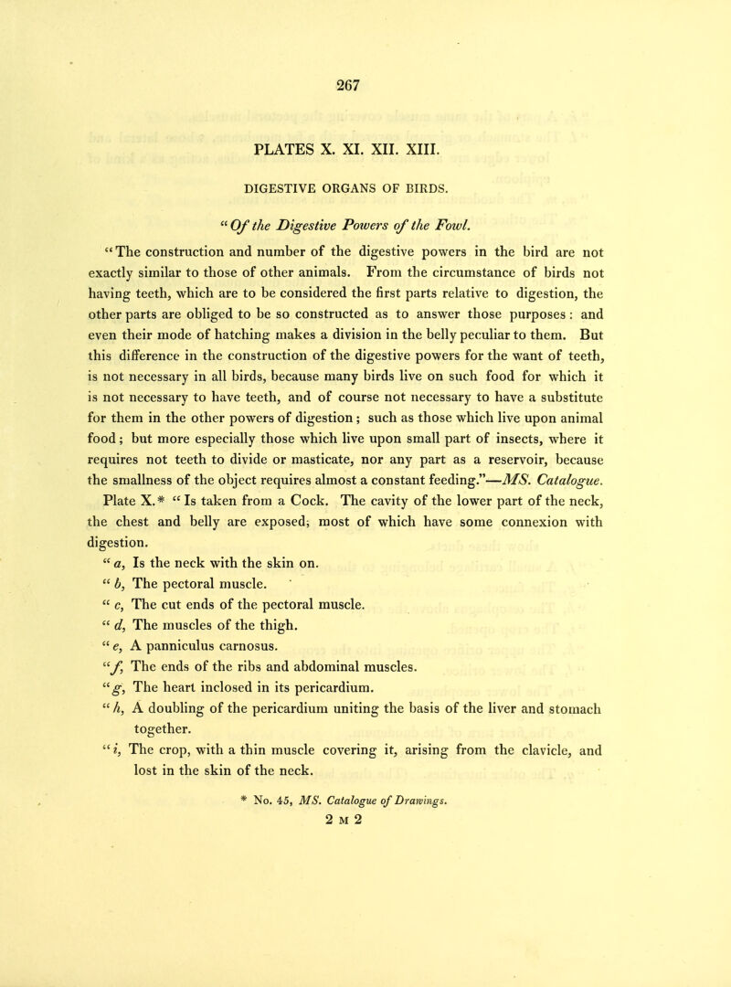 PLATES X. XI. XII. XIII. DIGESTIVE ORGANS OF BIRDS.  Of the Digestive Poivers of the Fowl.  The construction and number of the digestive powers in the bird are not exactly similar to those of other animals. From the circumstance of birds not having teeth, which are to be considered the first parts relative to digestion, the other parts are obliged to be so constructed as to answer those purposes: and even their mode of hatching makes a division in the belly peculiar to them. But this difference in the construction of the digestive powers for the want of teeth, is not necessary in all birds, because many birds live on such food for which it is not necessary to have teeth, and of course not necessary to have a substitute for them in the other powers of digestion ; such as those which live upon animal food; but more especially those which live upon small part of insects, where it requires not teeth to divide or masticate, nor any part as a reservoir, because the smallness of the object requires almost a constant feeding.—MS. Catalogue. Plate X. *  Is taken from a Cock. The cavity of the lower part of the neck, the chest and belly are exposed; most of which have some connexion with digestion.  a, Is the neck with the skin on.  b, The pectoral muscle.  e, The cut ends of the pectoral muscle.  d, The muscles of the thigh.  e, A panniculus carnosus. f The ends of the ribs and abdominal muscles. The heart inclosed in its pericardium.  h, A doubling of the pericardium uniting the basis of the liver and stomach together. i, The crop, with a thin muscle covering it, arising from the clavicle, and lost in the skin of the neck. * No. 45, MS. Catalogue of Drawings. 2 M 2