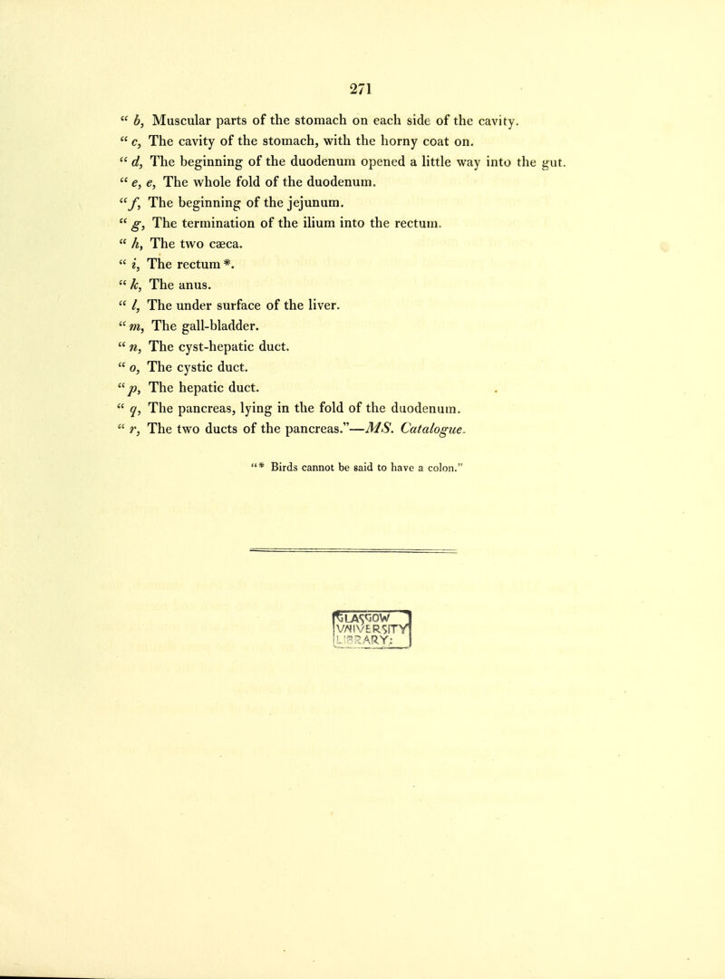  b, Muscular parts of the stomach on each side of the cavity.  c. The cavity of the stomach, with the horny coat on.  d, The beginning of the duodenum opened a httle way into the  e, e, The whole fold of the duodenum. f, The beginning of the jejunum.  g, The termination of the ilium into the rectum.  h, The two caeca.  i, The rectum*.  k, The anus.  /, The under surface of the liver.  m, The gall-bladder.  n, The cyst-hepatic duct.  0, The cystic duct. The hepatic duct.  q, The pancreas, lying in the fold of the duodenum.  r, The two ducts of the pancreas.—MS. Catalogue. * Birds cannot be said to have a colon.