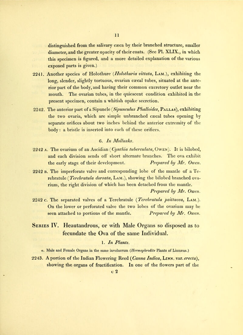 distinguished from the salivary caeca by their branched structure, smaller diameter, and the greater opacity of their coats. (See PI. XLIX., in which this specimen is figured, and a more detailed explanation of the various exposed parts is given.) 2241. Another species of Holothure {Holothuna vittata, Lam.), exhibiting the long, slender, slightly tortuous, ovarian csecal tubes, situated at the ante- rior part of the body, and having their common excretory outlet near the mouth. The ovarian tubes, in the quiescent condition exhibited in the present specimen, contain a whitish opake secretion. 2242. The anterior part of a Sipuncle {Sipunculus Phalloides, Pallas), exhibiting the two ovaria, which are simple unbranched caecal tubes opening by separate orifices about two inches behind the anterior extremity of the body : a bristle is inserted into each of these orifices. 6. In Mollusks. 2242 A, The ovarium of an Ascidian {Cynthia tuberculata, Owen). It is bilobed, and each division sends off short alternate branches. The ova exhibit the early stage of their development. Prepared by Mr. Owen. 2242 B. The imperforate valve and corresponding lobe of the mantle of a Te- rebratule {Terehratula dorsata, Lam.), showing the bilobed branched ova- rium, the right division of which has been detached from the mantle. Prepared by Mr. Owen. 2242 c. The separated valves of a Terebratule {Terebratula psittacea, Lam.). On the lower or perforated valve the two lobes of the ovarium may be seen attached to portions of the mantle. Prepared by Mr. Owen. Series IV. Heautandrous, or with Male Organs so disposed as to fecundate the Ova of the same Individual. 1. In Plants. a, Male and Female Organs in the same involucrum (Hermaphrodite Plants of Linneeus.) 2243. A portion of the Indian Flowering Reed {Canna Indica, Linn. y?Lr.erecta), showing the organs of fructification. In one of the flowers part of the c 2