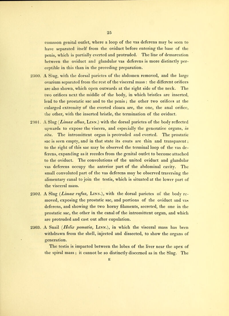 common genital outlet, where a loop of the vas deferens may be seen to have separated itself from the oviduet before entering the base of the penis, which is partially everted and protruded. The line of demarcation between the oviduct and glandular vas deferens is more distinctly per- ceptible in this than in the preceding preparation. 2300. A Slug, with the dorsal parietes of the abdomen removed, and the large ovarium separated from the rest of the visceral mass : the different orifices are also shown, which open outwards at the right side of the neck. The two orifices next the middle of the body, in which bristles are inserted, lead to the prostatic sac and to the penis ; the other two orifices at the enlarged extremity of the everted cloaca are, the one, the anal orifice, the other, with the inserted bristle, the termination of the oviduct. 2301. A Slug {L'lmax alhus, Linn.) with the dorsal parietes of the body reflected upwards to expose the viscera, and especially the generative organs, in situ. The intromittent organ is protruded and everted. The prostatic sac is seen empty, and in that state its coats are thin and transparent; to the right of this sac may be observed the terminal loop of the vas de- ferens, expanding as it recedes from the genital outlet to become attached to the oviduct. The convolutions of the united oviduct and glandular vas deferens occupy the anterior part of the abdominal cavity. The small convoluted part of the vas deferens may be observed traversing the alimentary canal to join the testis, which is situated at the lower part of the visceral mass. 2302. A Slug [Limax rufus, Linn.), with the dorsal parietes of the body re- moved, exposing the prostatic sac, and portions of the oviduct and vas deferens, and showing the two horny filaments, secreted, the one in the prostatic sac, the other in the canal of the intromittent organ, and which are protruded and cast out after copulation. 2303. A Snail {^Helix pomatia, Linn.), in which the visceral mass has been withdrawn from the shell, injected and dissected, to show the organs of generation. The testis is impacted between the lobes of the liver near the apex of the spiral mass ; it cannot be so distinctly discerned as in the Slug. The