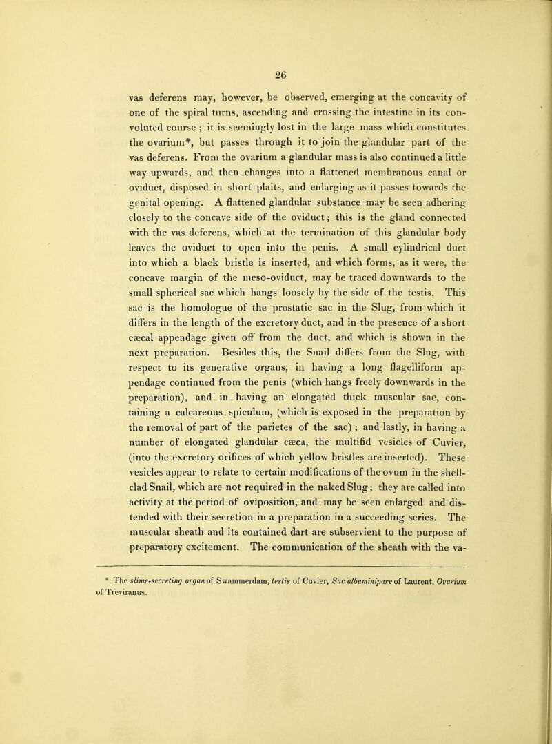 vas deferens may, however, be observed, emerging at the concavity of one of the spiral turns, ascending and crossing the intestine in its con- voluted course ; it is seemingly lost in the large mass which constitutes the ovarium*, but passes through it to join the glandular part of the vas deferens. From the ovarium a glandular mass is also continued a little way upwards, and then changes into a flattened membranous canal or oviduct, disposed in short plaits, and enlarging as it passes towards the genital opening. A flattened glandular substance may be seen adhering closely to the concave side of the oviduct; this is the gland connected with the vas deferens, which at the termination of this glandular body leaves the oviduct to open into the penis. A small cylindrical duct into which a black bristle is inserted, and which forms, as it were, the concave margin of the meso-oviduct, may be traced downwards to the small spherical sac w-hich hangs loosely by the side of the testis. This sac is the homologue of the prostatic sac in the Slug, from which it differs in the length of the excretory duct, and in the presence of a short caecal appendage given off from the duct, and which is shown in the next preparation. Besides this, the Snail differs from the Slug, with respect to its generative organs, in having a long flagelliform ap- pendage continued from the penis (which hangs freely downwards in the preparation), and in having an elongated thick muscular sac, con- taining a calcareous spiculum, (which is exposed in the preparation by the removal of part of the parietes of the sac) ; and lastly, in having a number of elongated glandular caeca, the multifid vesicles of Cuvier, (into the excretory orifices of which yellow bristles are inserted). These vesicles appear to relate to certain modifications of the ovum in the shell- clad Snail, which are not required in the naked Slug; they are called into activity at the period of oviposition, and may be seen enlarged and dis- tended with their secretion in a preparation in a succeeding series. The muscular sheath and its contained dart are subservient to the purpose of preparatory excitement. The communication of the sheath with the va- * The slime-secreting organ of Swammerdam, testis of Cuvier, Sac albuminipare oi Laurent, Ovarium of Treviraijus.