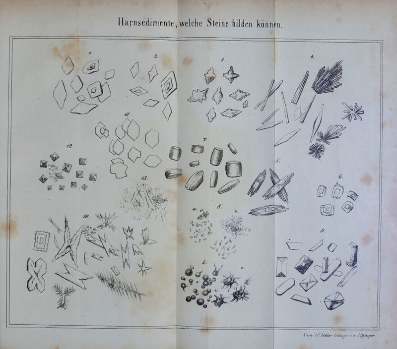 Harrisedimenle,welche Sterne bilden köanin.