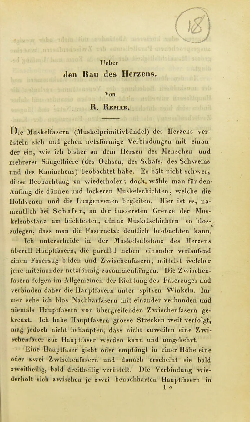 lieber den Bau des Herzeus. Von Die Muskelfasern (Muskelprimilivbündel) des Herzeus ver- ästeln sich und gehen netzförmige Verbindungen mit einan der ein, -wie ich bisher an dem Herzen des Menschen und mehrerer Säugelhiere (des Ochsen, des Schafs, des Schweins und de» Kaninchens) beobachtet habe. Es hält nicht schwer, diese Beobachtung zu wiederholen; dock, wähle man für den- Anfang die dünnen und lockeren Muskelschichlen, welche die Hohlvenen und die Lungenvenen begleiten. Hier ist es, na- mentlich bei Schafen, an der äussersten Grenze der Mus- kelsubstanz am leichtesten, dünne Muskelschichten so blos- zulegen, dass man die Fasernetze deutlich beobachten kann. Ich unterscheide in der Muskelsubstanz des Herzens überall Haupifasern, die parallel neben einander verlaufend einen Faserzug bilden und Zwischenfasern, mittelst welcher jene miteinauder netzförmig zusammenlifTugeu. Die Zwischen- fasern folgen im Allgemeinen der Richtung des Faserzugesund verbinden daher die Hauptfasern unter spitzen Winkeln. Im mer sehe ich blos Nachbarfasern mit einander verbunden und niemals Haupifasern von übergreifenden Zwischeufasern ge- kreuzt. Ich habe Hauptfasern grosse Strecken weit verfolgt, mag jedoch nicht behaupten, dass nicht zuweilen eine Zwi- schenfaser zur Hauptfaser werden kann und umgekehrt. Eine Hauptfaser giebt oder empfängt in einer Höhe eine oder zwei Zwischenfasern und danach erscheint sie bald zweitheilig, bald dreitheilig verästelt. Die Verbindung wie- derholt sich zwischen je zwei benachbarten Hauptfasern in 1 «