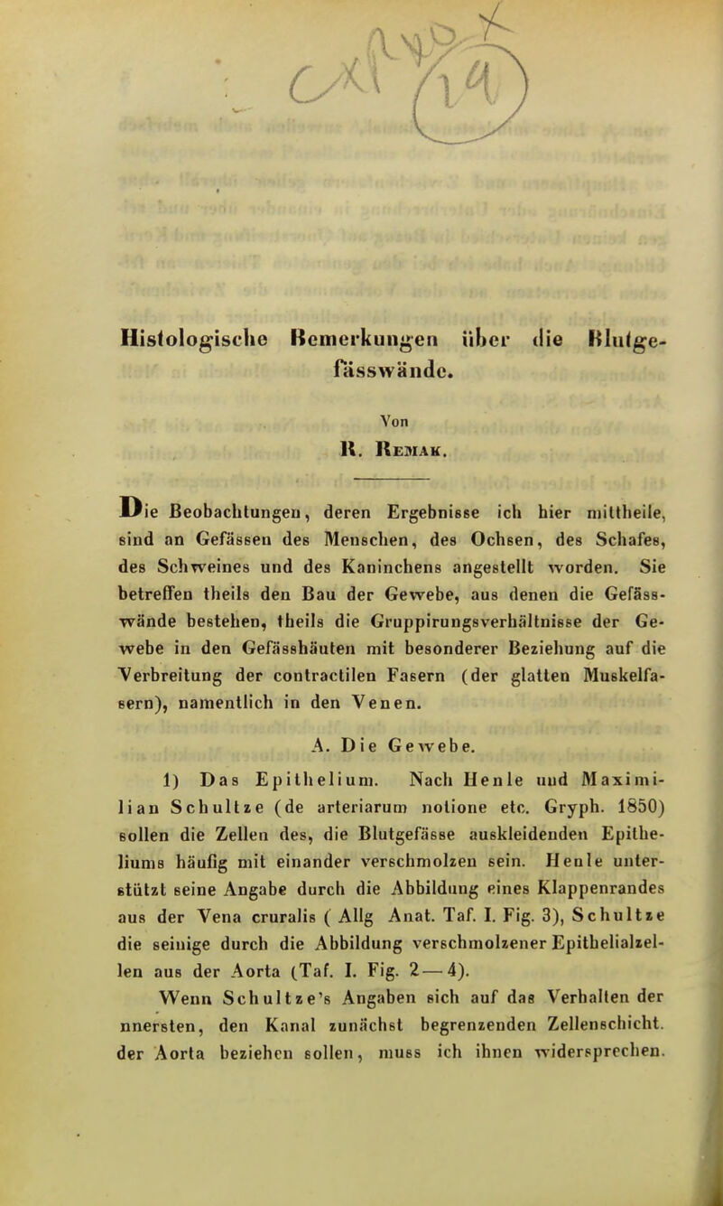 Histologische Bemerkungen über die Blutge- rässwändc. Von K. Remak. D ie Beobachtungen, deren Ergebnisse ich hier niiltheile, sind an Gefässen des Menschen, des Ochsen, des Schafes, des Schweines und des Kaninchens angestellt worden. Sie betreffen theils den Bau der Gewebe, aus denen die Gefäss- wände bestehen, theils die Gruppirungsverhältnisee der Ge- webe in den Gefässhäuten mit besonderer Beziehung auf die Verbreitung der contraclilen Fasern (der glatten Muskelfa- sern), namentlich in den Venen. A. Die Gewebe. 1) Das Epithelium. Nach Henle und Maximi- lian Schnitze (de arteriarum notione etc. Gryph. 1850) sollen die Zellen des, die Blutgefässe auskleidenden Epithe- liunis häufig mit einander verschmolzen sein. Henle unter- Btützt seine Angabe durch die Abbildung eines Klappenrandes aus der Vena cruralis ( AUg Anat. Taf. I. Fig. 3), Schultze die seiuige durch die Abbildung verschmolzener Epithelialxel- len aus der Aorta (.Taf. I. Fig. 2—4). Wenn Schultze's Angaben sich auf das Verhalten der nnersten, den Kanal zunächst begrenzenden Zellenschicht, der Aorta beziehen sollen, niuss ich ihnen widersprechen.