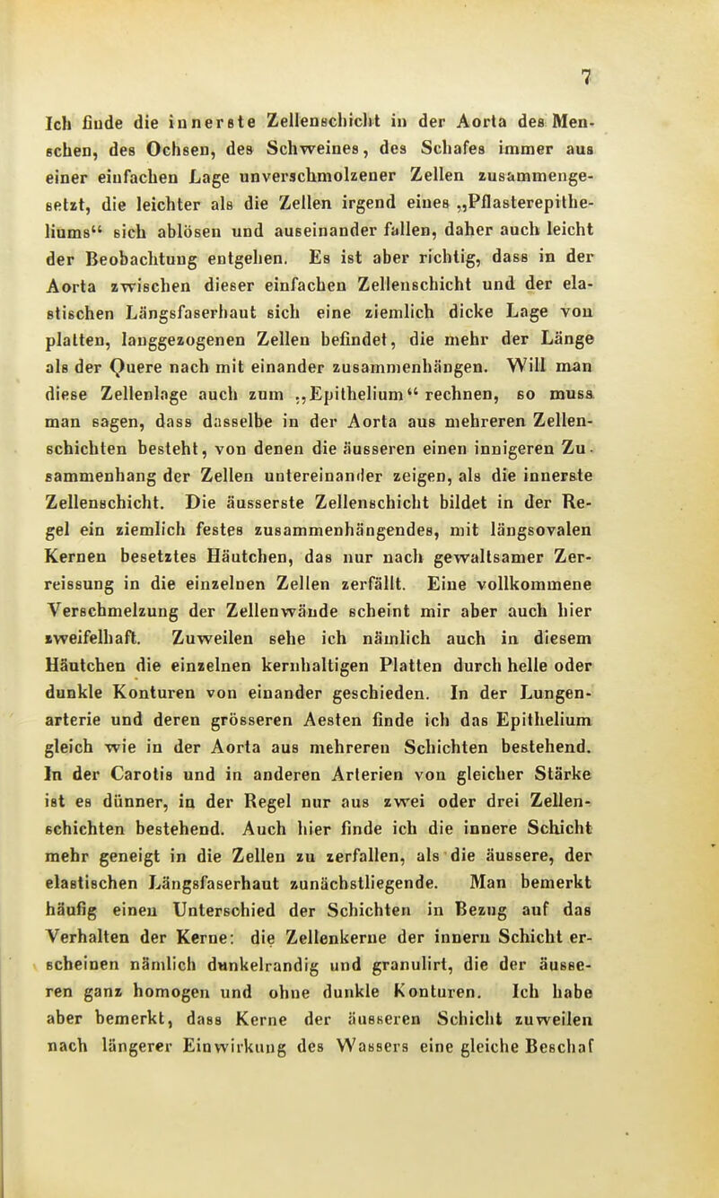 Ich finde die innerste Zellenschicht in der Aorta des Men- Bchen, des Ochsen, des Schweines, des Schafes immer aus einer einfachen Lage unverschmolzener Zellen zusammenge- setzt, die leichter als die Zellen irgend eines „Pflasterepithe- liums sich ablösen und auseinander fallen, daher auch leicht der Beobachtung entgehen. Es ist aber richtig, dass in der Aorta zwischen dieser einfachen Zellenschicht und der ela- stischen Längsfaserhaut sich eine ziemlich dicke Lage von platten, lauggezogenen Zellen befindet, die mehr der Länge als der Quere nach mit einander zusammenhängen. Will nxan diese Zellenloge auch zum ,,Eijithelium rechnen, so musa man sagen, dass dasselbe in der Aorta aus mehreren Zellen- schicbten besteht, von denen die äusseren einen innigeren Zu- «ammenhang der Zellen untereinander zeigen, als die innerste Zellenschicht. Die äusserste Zellenschicht bildet in der Re- gel ein ziemlich festes zusammenhängendes, mit längsovalen Kernen besetztes Häutchen, das nur nach gewaltsamer Zer- reissung in die einzelnen Zellen zerfällt. Eine vollkommene Verschmelzung der Zellenwände scheint mir aber auch hier zweifelhaft. Zuweilen sehe ich nämlich auch in diesem Uäutchen die einzelnen kernhaltigen Platten durch helle oder dunkle Konturen von einander geschieden. In der Lungen- arterie und deren grösseren Aesten finde ich das Epithelium gleich wie in der Aorta aus mehreren Schichten bestehend. In der Carotis und in anderen Arterien von gleicher Stärke ist es dünner, in der Regel nur aus zwei oder drei Zellen^ schichten bestehend. Auch hier finde ich die innere Schicht mehr geneigt in die Zellen zu zerfallen, als die äussere, der elastischen Längsfaserhaut zunächstliegende. Man bemerkt häufig einen Unterschied der Schichten in Bezug auf das Verhalten der Kerne: die Zellenkerue der inneru Schicht er- scheinen nämlich dunkelrandig und granulirt, die der äusse- ren ganz homogen und ohne dunkle Konturen. Ich habe aber bemerkt, dass Kerne der äusseren Schicht zuweilen nach längerer Einwirkung des Wassers eine gleiche Beschaf