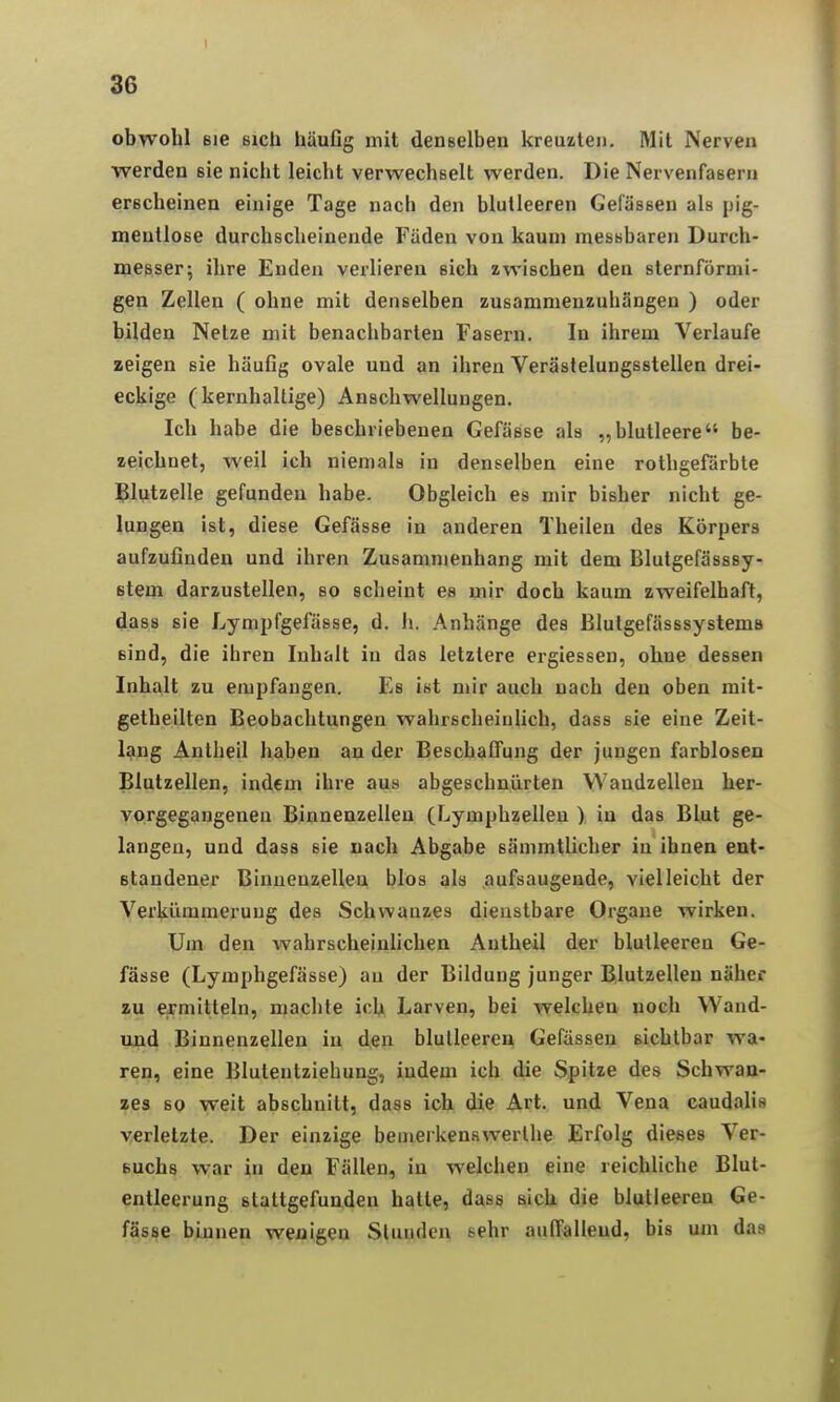 obwohl Bie Bich häuGg mit denselben kreuzten. Mit Nerven werden sie nicht leicht verwechßelt werden. Die Nervenfasern erscheinen einige Tage nach den blutleeren Gefässen als pig- mentlose durchscheinende Fäden von kaum messbaren Durch- messer; ihre Enden verlieren sich zwischen den sternförmi- gen Zellen ( ohne mit denselben zusammenzuhängen ) oder bilden Netze mit benachbarten Fasern. In ihrem Verlaufe zeigen sie häufig ovale und an ihren Veräslelungsstellen drei- eckige (kernhaltige) Anschwellungen. Ich habe die beschriebenen Gefässe als „blutleere be- zeichnet, weil ich niemals in denselben eine rothgefärbte j^lutzelle gefunden habe. Obgleich es mir bisher nicht ge- lungen ist, diese Gefässe in anderen Theilen des Körpers aufzufinden und ihren Zusammenhang mit dem Blutgefässsy- ßtem darzustellen, so scheint es mir doch kaum zweifelhaft, dass sie Lympfgefässe, d. h. Anhänge des Blutgefässsystems sind, die ihren Inhalt in das letztere ergiessen, ohne dessen Inhalt zu empfangen. Es ist mir auch nach den oben mit- getheilten Beobachtungen wahrscheinlich, dass sie eine Zeit- l^mg Antheil haben au der Beschaffung der jungen farblosen Blutzellen, indem ihre aus abgeschnürten VVandzelleu her- vorgegangenen Binnenzelleu (Lymphzellen > in das Blut ge- langen, und dass sie nach Abgabe sämmtlicher in ihnen ent- standener Binuenzelleu blos als ^aufsaugende, vielleicht der Verkümmerung des Schwanzes dienstbare Organe wirken. Um den wahrscheiuhchen Antheil der blutleeren Ge- fässe (Lymphgefässe) an der Bildung junger Blutzellen näher zu ej-mitteln, machte ich Larven, bei welchen noch Wand- und Binnenzellen in den blutleeren Gefässen sichtbar wa- ren, eine Blutentziebung, indem ich die Spitze des Schwan- zes so weit abschnitt, dass ich die Art. und Vena caudalis verletzte. Der einzige bemerkenswerthe Erfolg dieses Ver- suchs war in den Fällen, in welchen eine reichliche Blut- entleerung stattgefunden hatte, dass sich die blutleeren Ge- fäs.^e binnen wenigen Stunden sehr auffallend, bis um das