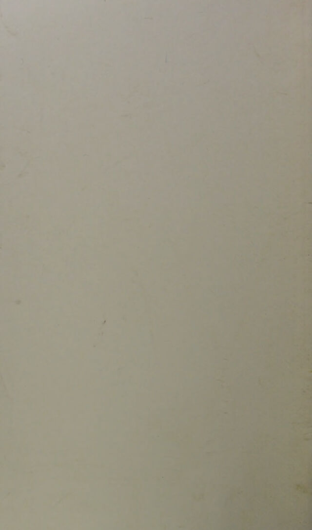 digitised image 2