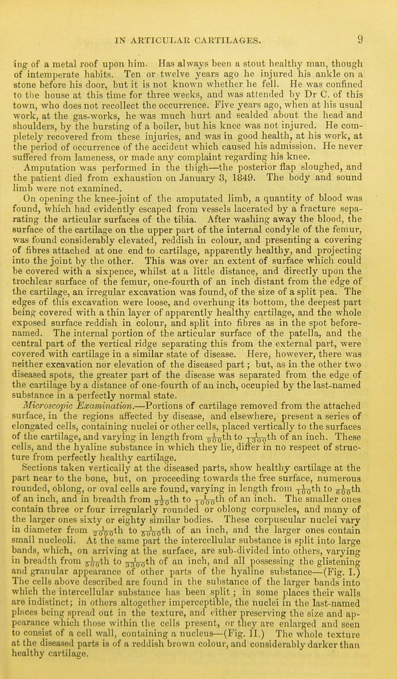 ing of a metal roof upon him. Has always been a stout healthy man, though of intemperate habits. Ten or twelve years ago he injured his ankle on a stone before his door, but it is not known whether he fell. He was confined to the house at this time for three weeks, and was attended by Dr C. of this town, who does not recollect the occurrence. Five years ago, when at his usual work, at the gas-works, he was much hurt and scalded about the head and shoulders, by the bursting of a boiler, but his knee was not injured. He com- pletely recovered from these injuries, and was in good health, at his work, at the period of occurrence of the accident which caused his admission. He never suffered from lameness, or made any complaint regarding his knee. Amputation was performed in the thigh—the posterior flap sloughed, and the patient died from exhaustion on Januaiy 3, 1849. The body and sound limb were not examined. On opening the knee-joint of the amputated limb, a quantity of blood was found, which had evidently escaped from vessels lacerated by a fracture sepa- rating the articular surfaces of the tibia. After washing away the blood, the surface of the cartilage on the upper part of the internal condyle of the femur, was found considerably elevated, reddish in colour, and presenting a covering of fibres attached at one end to cartilage, apparently healthy, and projecting into the joint by the other. This was over an extent of surface which could be covered with a sixpence, whilst at a little distance, and directly upon the trochlear surface of the femur, one-fourth of an inch distant from the edge of the cartilage, an irregular excavation was found, of the size of a split pea. The edges of this excavation were loose, and overhung its bottom, the deepest part being covered with a thin layer of appai-ently healthy cartilage, and the whole exposed surface reddish in colour, and split into fibres as in the spot befoi-e- named. The internal portion of the articular surface of the patella, and the central part of the vertical ridge separating this from the external part, were covered with cartilage in a similar state of disease. Here, however, there was neither excavation nor elevation of the diseased part; but, as in the other two diseased spots, the greater part of the disease was separated from the edge of the cartilage by a distance of one-fourth of an inch, occupied by the last-named substance in a perfectly normal state. Microscopic lElamination.—Portions of cartilage removed from the attached surface, in the regions affected by disease, and elsewhere, present a series of elongated cells, containing nuclei or other cells, placed vertically to the surfaces of the cartilage, and varying in length from Tj^th to i-^ooth of an inch. These cells, and the hyaline substance in which they lie, differ in no respect of struc- ture from perfectly healthy cartilage. Sections taken vertically at the diseased parts, show healthy cartilage at the part near to the bone, but, on proceeding towards the free surface, numerous rounded, oblong, or oval cells are found, varying in length from j^th to ^^th of an inch, and in breadth from ^^th to y^nnr*^ ^ inch. The smaller ones contain three or four irregularly rounded or oblong corpuscles, and many of the larger ones sixty or eighty similar bodies. These corpuscular nuclei vary in diameter from Tf^^ih. to g^th of an inch, and the larger ones contain small nucleoli. At the same part the intercellular substance is split into large bands, which, on arriving at the surface, are sub-divided into others, varying in breadth from 5^th to s^xsv^h. of an inch, and all possessing the glistening and granular appearance of other parts of the hyaline substance—(Fig. I.) The cells above described are found in the substance of the larger bands into which the intercellular substance has been split; in some places their walls are indistinct; in others altogether imperceptible, the nuclei in the last-named plnces being spread out in the texture, and cither preserving the size and ap- pearance which those within the cells present, or they are enlarged and seen to consist of a cell wall, containing a nucleus—(Fig. II.) The whole texture at the diseased parts is of a reddish brown colour, and considerably darker than healthy cartilage.