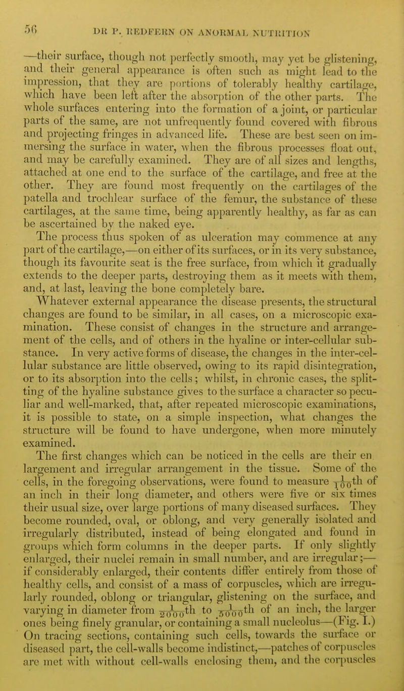 —their surface, though not ])crfectly suiootli, may yet be ghstening, and their general appearance is often such as might lead to the impression, that they are portions of tolerably healthy cartilage, which have been left after the absorption of the other parts. The whole surfaces entering into the formation of a joint, or particular parts of the same, are not unfrequently found covered with fibrous and projecting fringes m advanced life. These are best seen on im- mersing the surface in water, when the fibrous processes float out, and may be carefully examined. They are of all sizes and lengths, attached at one end to the surface of the cartilage, and free at the other. They are found most frequently on the cartilages of the patella and trochlear surface of the femur, the substance of these cartilages, at the same time, being apparently healthy, as far as can be ascertained by the naked eye. The process thus spoken of as ulceration may commence at any part of the cartilage,—on either of its surfaces, or in its very substance, though its favourite seat is the free surface, from which it gradually extends to the deeper parts, destroying them as it meets with them, and, at last, leaving the bone completely bare. Whatever external appearance the disease presents, the structm'al changes are found to be similar, in all cases, on a microscopic exa- mination. These consist of changes in the structure and arrange- ment of the cells, and of others in the hyaline or inter-cellular sub- stance. In very active forms of disease, the changes in the inter-cel- lular substance are little observed, owing to its rapid disintegration, or to its absorption into the cells; whilst, in chronic cases, the split- ting of the hyaline substance gives to the surface a character so jiecu- liar and well-marked, that, after repeated microscopic examinations, it is possible to state, on a simple inspection, what changes the structure will be found to have undergone, when more minutely examined. The first changes which can be noticed in the cells are their en largement and irregular arrangement in the tissue. Some of the cells, in the foregoing observations, were found to measure j^oth of an inch in their long diameter, and others were five or six times their usual size, over large portions of many diseased sm'faces. They become rounded, oval, or oblong, and very generally isolated and irregularly distributed, instead of being elongated and found in groups which form columns in the deeper parts. If only slightly enlarged, their nuclei remain in small number, and are irregular;— if considerably enlarged, their contents differ entirely from those of healthy cells, and consist of a mass of corpuscles, which are in*egu- larly rounded, oblong or triangular, glistening on the sui-face, and varying in diameter from ^,foo^^ Wso*^^ larger ones being finely granular, or containing a small nucleolus—(Fig. I.) On tracing sections, containing such cells, towards the surface or diseased part, the cell-walls become indistinct,—patches of corpuscles are met with without cell-walls enclosing them, and the corpuscles