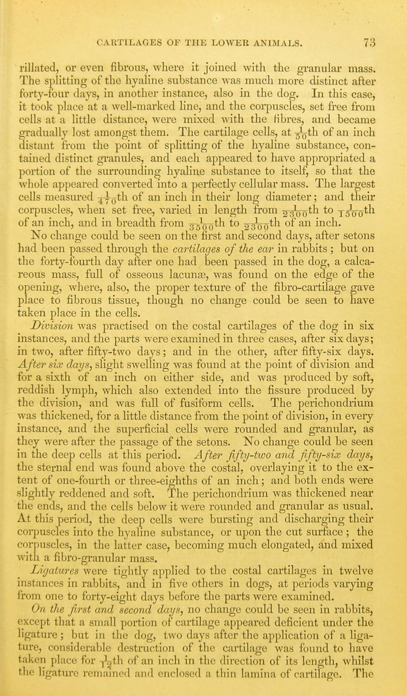 rillated, or even fibrous, where it joined with the granular mass. The splitting of the hyaline substance was much more distinct after forty-four days, in another instance, also in the dog. In this case, it took place at a well-marked line, and the corpviscles, set fi^ee from cells at a little distance, were mixed with the fibres, and became gi'adually lost amongst them. The cartilage cells, at ^Qth of an inch distant from the point of sphtting of the hyaline substance, con- tained distinct granules, and each appeared to have appropriated a portion of the surrounding hyaline substance to itself, so that the whole appeared converted into a perfectly cellular mass. The largest cells measured j^-oth of an inch in their long diameter; and their corpuscles, when set free, valued in length fr-om 23'oo*'^ TsW^^ of an inch, and in breadth from ^s^o^h to 2^0^^^ inch. No change could be seen on the first and second days, after setons had been passed through the cartilages of the ear in rabbits ; but on the forty-fourth day after one had been passed in the dog, a calca- reous mass, full of osseous lacunte, was found on the edge of the opening, where, also, the proper texture of the fibro-cartilage gave place to fibrous tissue, though no change could be seen to have taken place in the cells. Division was practised on the costal cartilages of the dog in six instances, and the parts were examined in three cases, after six days; in two, after fifty-two days; and in the other, after fifty-six days. After six days, slight swelling was found at the point of division and for a sixth of an inch on either side, and was produced by soft, reddish lymph, which also extended into the fissure produced by the division, and was full of fusiform cells. The perichondrium was thickened, for a little distance from the point of division, in every instance, and the superficial cells were rounded and granular, as they were after the passage of the setons. No change could be seen in the deep cells at this period. After fifty-two and fifty-six days, the sternal end was found above the costal, overlaying it to the ex- tent of one-fom'th or three-eighths of an inch; and both ends were shghtly reddened and soft. The perichondrium was thickened near the ends, and the cells below it were rounded and granular as usual. At this period, the deep cells were bursting and discharging their corpuscles into the hyaline substance, or upon the cut surface ; the corpuscles, in the latter case, becoming much elongated, and mixed with a fibro-granular mass. lAgatures were tightly applied to the costal cartilages in twelve instances in rabbits, and in five others in dogs, at periods varying from one to forty-eight days before the parts were examined. On the first and second days, no change could be seen in rabbits, except that a small portion of cartilage appeared deficient under the ligature; but in the dog, two days after the application of a liga- ture, considerable destruction of the cartilage was found to have taken place for y^^th of an inch in the direction of its length, whilst the ligature remained and enclosed a thin lamina of cartilage. The