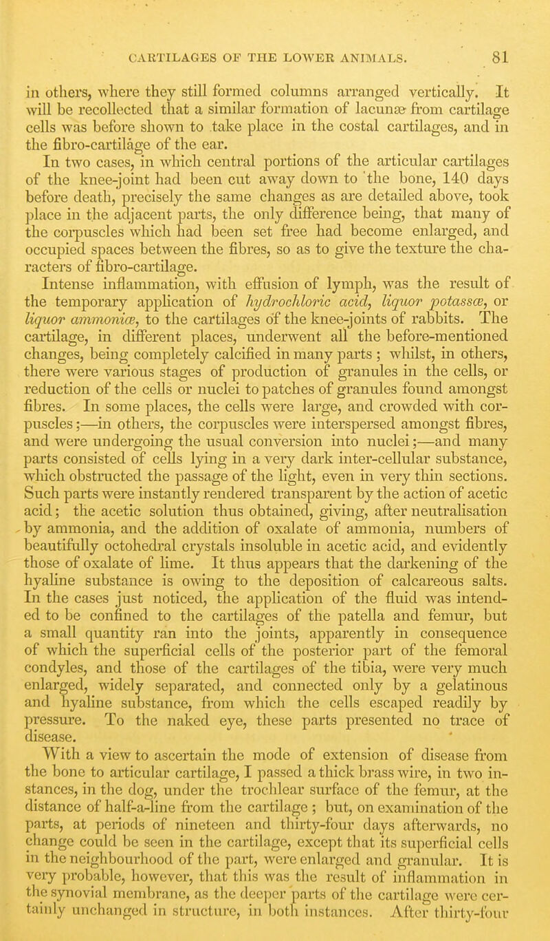 in others, where they still formed columns arranged vertically. It will be recollected that a similar formation of lacunae from cartilage cells was before shown to take place in the costal cartilages, and in the fibro-cartilage of the ear. In two cases, in which central portions of the articular cartilages of the knee-joint had been cut away down to the bone, 140 days before death, precisely the same changes as are detailed above, took place in the adjacent parts, the only difference being, that many of the corpuscles which had been set free had become enlarged, and occupied spaces between the fibres, so as to give the texture the cha- racters of fibro-cartilage. Intense inflammation, with effusion of lymph, was the result of the temporary application of hydrochloric acid, liquor potassce, or liquor ammonice, to the cartilages of the knee-joints of rabbits. The cartilage, in different places, underwent all the before-mentioned changes, being completely calcified in many parts ; whilst, in others, there were various stages of production of granules in the cells, or reduction of the cells or nuclei to patches of granules found amongst fibres. In some places, the cells were large, and crowded with cor- puscles ;—in others, the corpuscles were interspersed amongst fibres, and were undergoing the usual conversion uito nuclei;—and many parts consisted of cells lying in a very dark inter-cellular substance, which obstructed the passage of the light, even in very thin sections. Such parts were instantly rendered transparent by the action of acetic acid; the acetic solution thus obtained, giving, after neutrahsation - by ammonia, and the addition of oxalate of ammonia, numbers of beautifidly octohediral crystals insoluble in acetic acid, and evidently those of oxalate of lime. It thus appears that the darkening of the hyahne substance is owing to the deposition of calcareous salts. In the cases just noticed, the application of the fluid was intend- ed to be confined to the cartilages of the patella and femur, but a small quantity ran into the joints, apparently in consequence of which the supei'ficial cells of the posterior part of the femoral condyles, and those of the cartilages of the tibia, were very much enlarged, widely separated, and connected only by a gelatinous and hyaline substance, from which the cells escaped readily by pressin'e. To the naked eye, these parts presented no trace of disease. With a view to ascertain the mode of extension of disease fi'om the bone to articular cartilage, I passed a thick brass wire, in two in- stances, in the dog, under the trochlear surface of the femur, at the distance of half-a-line from the cartilage ; but, on examination of the parts, at periods of nineteen and thirty-four days afterwards, no change could be seen in the cartilage, except that its superficial cells in the neighbourhood of the part, were enlarged and granular. It is very probable, however, that this was the result of inflammation in the synovial membrane, as the deeper parts of the cartilage were cer- tainly unchanged in structure, in botli instances. After tliirty-lbur