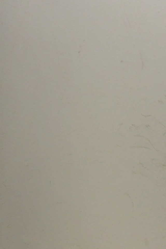 digitised image 1