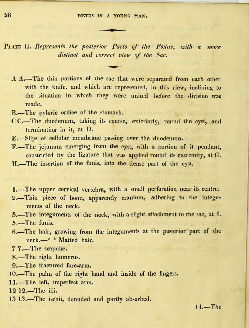 Plate II. Represents the posterior Parts of the Foetus^ with a more distinct and correct view of the Sac, A A.—The thin portions of the sac that were separated from each other with the knife, and which are represented, in this view, inclining to the situation in which they were united before the division was made. B.—The pyloric orifice of the stomach. C C.—The duodenum, taking its course, exteriorly, round the cyst, and terminating in it, at D. E. —Slips of cellular membrane passing over the duodenum. F. —The jejunum emerging from the cyst, with a portion of it pendant, constricted by the ligature that was applied round its extremity, at G, H. —The insertion of the funis, into the dense part of the cyst. I. —The upper cervical vertebra, with a small perforation near its centre. 2. —Thin piece of bone, apparently cranium, adhering to the integu- ments of the neck. 3. —The integuments of the neck, with a slight attachment to the sac, at 4. 5. —The funis, 6, —The hair, growing from the integuments at the posterior part of the neck.—* * Matted hair. 7 7.—^The scapulae. 8. —The right humerus. 9. —-The fractured fore-arm. 10. —The palm of the right hand and inside of the fingers. 11. —The left, imperfect arm. 12 12.—The ilii. 13 13.—The ischii, denuded and partly absorbed. 14.~The
