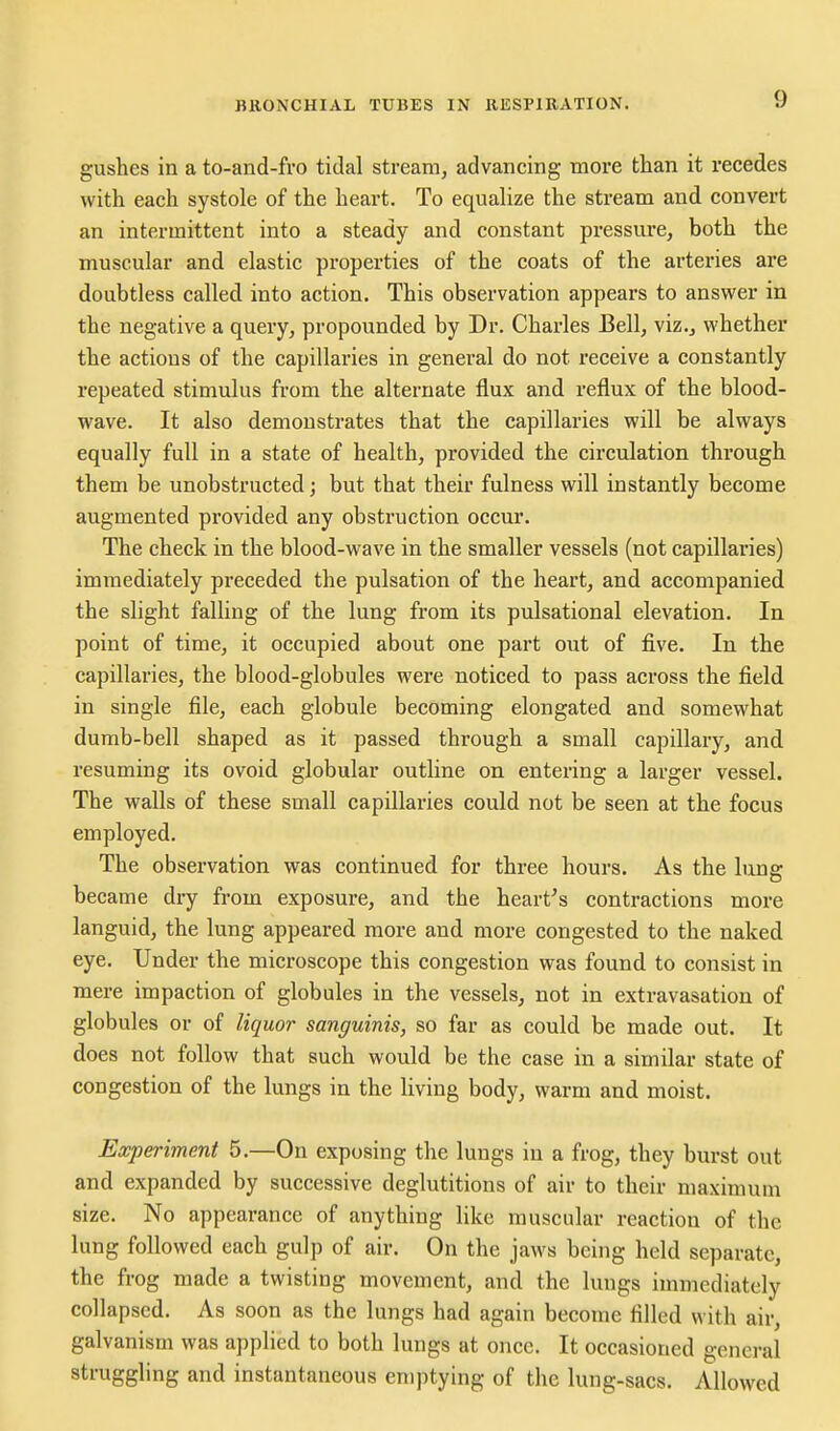 gushes in a to-and-fro tidal stream, advancing more than it recedes with each systole of the heart. To equalize the stream and convert an intermittent into a steady and constant pressure, both the muscular and elastic properties of the coats of the arteries are doubtless called into action. This observation appears to answer in the negative a query, propounded by Dr. Charles Bell, viz., whether the actions of the capillaries in general do not receive a constantly repeated stimulus from the alternate flux and reflux of the blood- wave. It also demonstrates that the capillaries will be always equally full in a state of health, provided the circulation thi-ough them be unobstructed; but that their fulness will instantly become augmented provided any obstruction occur. The check in the blood-wave in the smaller vessels (not capillaries) immediately preceded the pulsation of the heart, and accompanied the slight falling of the lung from its pulsational elevation. In point of time, it occupied about one part out of five. In the capillaries, the blood-globules were noticed to pass across the field in single file, each globule becoming elongated and somewhat dumb-bell shaped as it passed through a small capillary, and resuming its ovoid globular outline on entering a larger vessel. The walls of these small capillaries could not be seen at the focus employed. The observation was continued for three hours. As the lung became dry from exposure, and the heart's contractions more languid, the lung appeared more and more congested to the naked eye. Under the microscope this congestion was found to consist in mere impaction of globules in the vessels, not in extravasation of globules or of liquor sanguinis, so far as could be made out. It does not follow that such would be the case in a similar state of congestion of the lungs in the living body, warm and moist. Experiment 5.—On exposing the lungs in a frog, they burst out and expanded by successive deglutitions of air to their maximum size. No appearance of anything like muscular reaction of the lung followed each gulp of air. On the jaws being held separate, the frog made a twisting movement, and the lungs immediately collapsed. As soon as the lungs had again become filled with air, galvanism was applied to both lungs at once. It occasioned general struggling and instantaneous emptying of the lung-sacs. Allowed