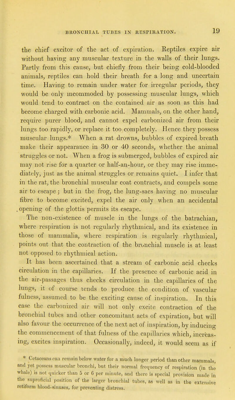 the chief excitor of the act of expu-ation. Reptiles expire air without having any muscular texture in the walls of their lungs. Partly from this cause, but chiefly from their being cold-blooded animals, reptiles can hold their breath for a long and uncertain time. Having to remain under water for irregular periods, they would be only incommoded by possessing muscular lungs, which would tend to contract on the contained air as soon as this had become charged with carbonic acid. Mammals, on the other hand, require purer blood, and cannot expel carbonized air from their lungs too rapidly, or replace it too completely. Hence they possess muscular lungs.* When a rat drowns, bubbles of expired breath make their appearance in 30 or 40 seconds, whether the animal struggles or not. When a frog is submerged, bubbles of expired air may not rise for a quarter or half-an-hour, or they may rise imme- diately, just as the animal struggles or remains quiet. I infer that in the rat, the bronchial muscular coat contracts, and compels some air to escape; but in the frog, the lung-sacs having no muscular fibre to become excited, expel the air only when an accidental . opening of the glottis permits its escape. The non-existence of muscle in the lungs of the batrachian, where respiration is not regularly rhythmical, and its existence in those of mammalia, where respiration is regularly rhythmical, points out that the contraction of the bronchial muscle is at least not opposed to rhythmical action. It has been ascertained that a stream of carbonic acid checks circulation in the capillaries. If the presence of carbonic acid in the air-passages thus checks circulation in the capillaries of the lungs, it of course lends to produce the condition of vascular fulness, assumed to be the exciting cause of inspiration. In this case the carbonized air will not only excite contraction of the bronchial tubes and other concomitant acts of expiration, but will also favour the occurrence of the next act of inspiration, by inducing the commencement of that fulness of the capillaries which, increas- ing, excites inspiration. Occasionally, indeed, it would seem as if * Cetaceans ran remain below water for a much longer period than other mammals, and yet possess muscular bronchi, but their normal fretiuenoy of respiration (in the whale) is not quicker than 5 or 6 per minute, and there is special provision made in the suproficial position of the larger bronchial tubes, as well as in the extensive retiform blood-sinuses, for preventing distress.