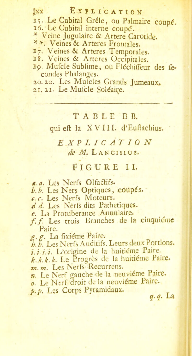 i^. Le Cubital Grêle, ou Palmaire coupé. 16. Le Cubital interne coupé. ^ Veine Jugulaire & Artère Carotide. Veines & Artères Frontales. 17. Veines & Artères Temporales. 3 8. Veines & Artères Occipitales. 19. Mutcle Sublime, ou Fléchiffeur des fé- condes Phalanges. 20. 20. Les Mufcles Grands Jumeaux. 21.21. Le Muicle Soiéaiije. TABLE B B. quieft la XVIIL d'Euftachius.  EXPLICATION de M. LANcisius. FIGURE IL M. a. Les Nerfs Olfadifs. b.b. Les Ners Optiques, coupés. ce. Les Nerfs Moteurs. d d. Les Nerfs dits Pathétiques. e. La Protubérance Annulaire. /./ Les trois Branches de la cinquième Paire. g. g. La fixiéme Paire. h. h. Les Nerfs Auditifs. Leurs deux Portions. i. ï.i.i. L'origine de la huitième Paire. k.k.k.k. Le Progrès de la huitième Paire. tn.m. Les Nerfs Recurrcns. ». Le Nerf gauche de la neuvième Paire. 0. Le Nerf droit de la neuvième Paire. p.p. Les Corps Pyramidaux. q.q, La