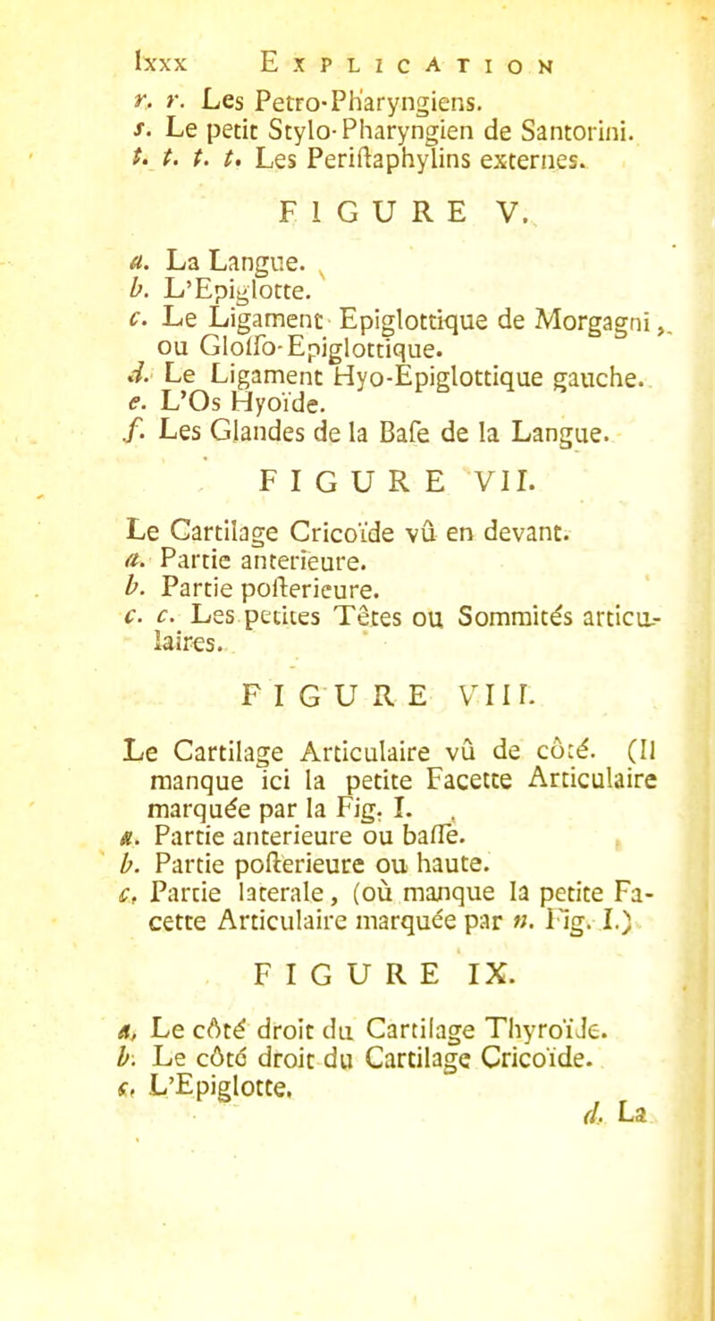 Y, r. Les Petro-Pharyngiens. s. Le petit Stylo-Pharyngien de Santorini. t. t. t. t. Les Periftaphylins externes. FIGURE V. a. La Langue. ^ b. L'Epiglotte. c. Le Ligament' Epiglottique de Morgagni, ou Gloffo-Epiglottique. d. Le Ligament Hyo-Èpiglottique gauche. e. L'Os Hyoïde. /. Les Glandes de la Bafe de la Langue. F I G U R E VIL Le Cartilage Cricoïde vû en devant. a. Partie antérieure. b. Partie pofterieure. c. c. Les petites Têtes ou Sommités artica- îaires. FIGURE VII r. Le Cartilage Articulaire vù de côcé. (Il manque ici la petite Facette Articulaire marquée par la Fig. I. «. Partie antérieure ou bafle. b. Partie pofterieure ou haute. c, Partie latérale, (où majnque la petite Fa- cette Articulaire marquée par «. i^ig. I.) FIGURE IX. A, Le côté droit du Cartilage ThyroïJe. b. Le côté droit du Cartilage Cricoïde. s, L'Epiglotte. d, La