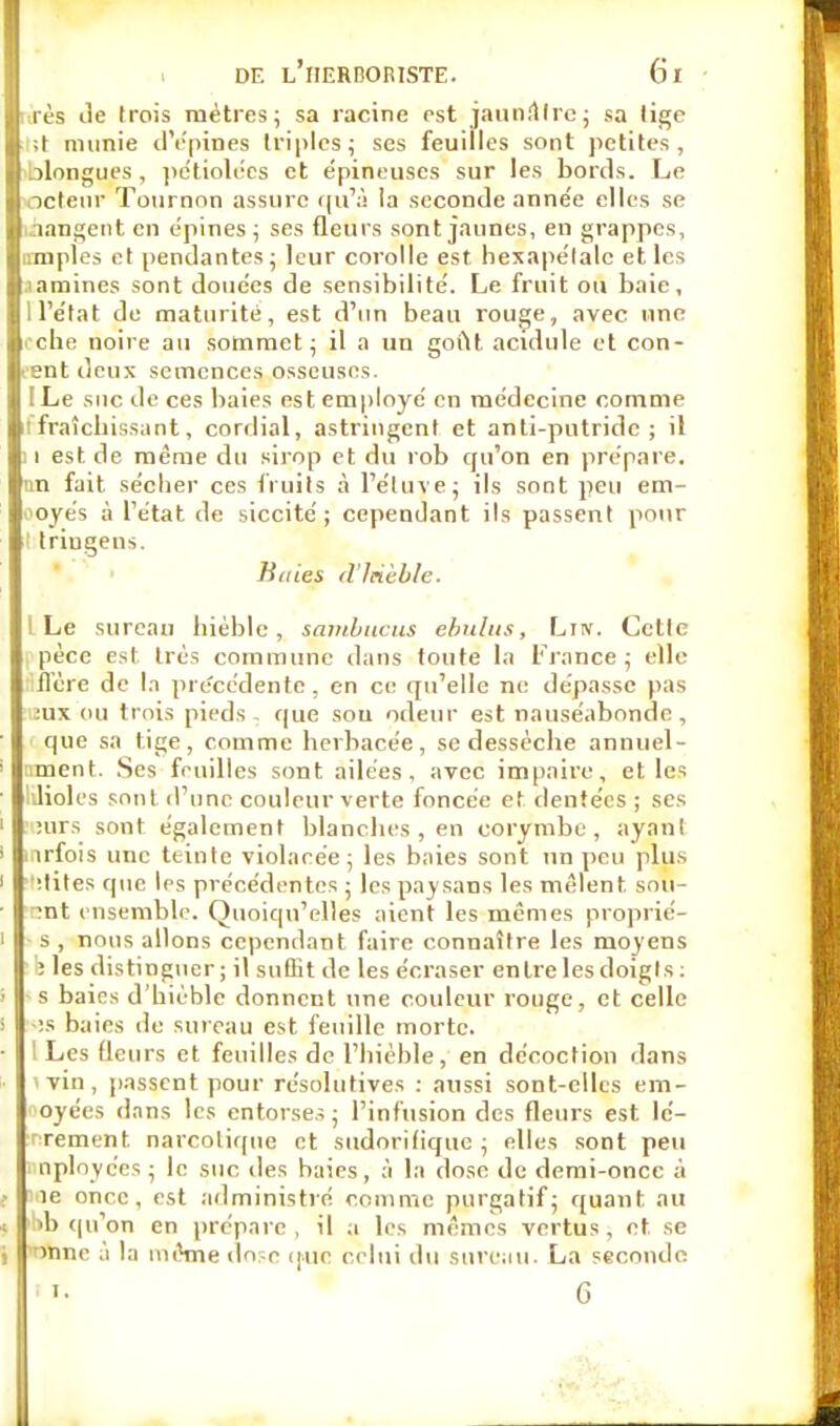 rès de trois mètres; sa racine est jaunâtre; sa lige ;l munie d'épines triples; ses feuilles sont petites, blongues , pétiolées et épineuses sur les bords. Le octeur Tournon assure qu'à la seconde année elles se rangent en épines ; ses fleurs sont jaunes, en grappes, impies et pendantes ; leur corolle est hexapélalc et les aminés sont douées de sensibilité. Le fruit ou baie, I l'état do maturité, est d'un beau rouge, avec une iche noire au sommet; il a un gofU acidulé et con- tent deux semences osseuses. ILe suc de ces baies est employé en médecine comme i fraîcbissant, cordial, astringent et anti-putride; il II est de même du sirop et du rob qu'on en prépare, un fait sécher ces fruits à l'éluve; ils sont peu em- ooyés à l'état de siccité ; cependant ils passent pour triugens. Knies dlnèble. ILe sureau hiéble, sambucus ebulus, Liw. Cette père c.-.f très commune dans foute la France; elle flëre de la pre'cédente , en ce qu'elle ne dépasse pas :ux ou trois pieds, que sou odeur est nauséabonde, que sa lige, comme herbacée, se dessécbe annuel- nment. Ses feuilles sont ailées, avec impaire, et les Jioles sont d'une couleur verte foncée et dentées ; ses :urs sont également blanches , en eorymbe , ayant irfois une teinte violacée; les baies sont un peu plus :tites fpie les précédentes ; les paysans les mêlent sou- •nt ensemble. Quoiqu'elles aient les mêmes proprié- s , nous allons cependant faire connaître les moyens î les distinguer ; il suffit de les écraser entre les doigts : s baies d'bièble donnent une couleur rouge, et celle •:s baies de sureau est feuille morte. I Les fleurs et feuilles de l'hièble, en décoction dans vin, (lassent pour résolutives : aussi sont-elles em- oyces dans les entorses; l'infusion des fleurs est lé- rement narcotique et sudorifique; elles sont peu nployces ; le suc des baies, à la dose de demi-onec à le once, est administré comme purgatif; quant au !>b qu'on en préparc , il a les mêmes vertus, et. se unir ,i la même dose que celui du sureau. La seconde '• 6