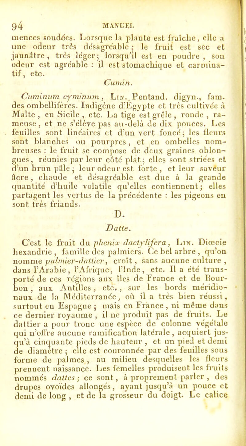 menées 60udées. Lorsque la plante est fraîche, elle a une odeur très desagréable ; le fruit est sec et jaunâtre, très léger ; lorsqu'il est en poudre, son odeur est agréable : il est stomachique et carmina- tif, etc. Cumin. Cuminum cyminum, Lin., Pentand. digyn., fam. des ombellilères. Indigène d'Egypte et très cultivée à Malte, en Sicile, etc. La tige est grêle, ronde, ra- meuse, et ne s'élève pas au-delà de dis pouces. Les feuilles sont linéaires et d'un vert foncé; les fleurs sont blanches ou pourpres, et en ombelles nom- breuses : le fruit se compose de deux graines oblon- gues, réunies par leur côté plat; elles sont striées et d'un brun pûle ; leur odeur est forte , et leur saveur âcre, chaude et désagréable est due à la grande quantité d'huile volatile qu'elles contiennent; elles partagent les vertus de la précédente : les pigeons en sont très friands. D. Datte. C'est le fruit du phénix daclylifera, Lin. Diœcie hexandrie , famille des palmiers. Ce bel arbre , qu'on nomme palmier-dattier, croît, sans aucune culture , dans l'Arabie, l'Afrique, l'Inde, etc. Il a été trans- porté de ces régions aux îles de France et de Bour- bon , aux Antilles, etc., sur les bords méridio- naux de la Méditerranée, où il a très bien réussi, surtout en Espagne ; mais en France , ni même dans ce dernier royaume , il ne produit pas de fruits. Le dattier a pour tronc une espèce de colonne végétale qui n'offre aucune ramification latérale, acquiert jus- qu'à cinquante pieds de hauteur , et un pied et demi de diamètre ; elle est couronnée par des feuilles sous forme de palmes , au milieu desquelles les fleurs prennent naissance. Les femelles produisent les fruits nommés dattes; ce sont, à proprement parler , des drupes ovoïdes allongés, ayant jusqu'à un pouce et demi de long , et de la grosseur du doigt. Le calice