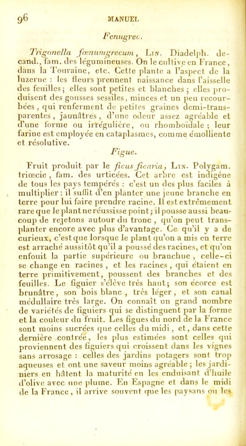 Fenugrec. THgonelîa fcenumgrecum, Lin. Diadelph. de- cand., fam. dos légumineuses. On leculiiveen Fiance, dans la Tourainc, etc. Cetle plante a l'aspect de la luzerne : les fleurs prennent naissance dans l'aisselle des feuilles; elles sont petites et blanches ; elles pro- duisent des gousses sessiles, minces et un peu recour- bées , qui renferment de petites graines dcmi-lrans- parentes , jaunâtres , d'une odeur assez agréable et d'une forme ou ir'régulière, ou rhomboïdale ; leur farine est employée en cataplasmes, comme e'molliente et résolutive. figue. Fruit, produit par le ficus jfiearia, Lin. Polygam. triœcic , fam. des urticées. Cet arbre est indigène de tous les pays tempérés : c'est un des plus faciles à multiplier: il suffit d'en planter une jeune branche en terre pour lui faire prendre racine. 11 est extrêmement rare que leplantneréussissepoint;ilpousseaussi beau- coup de rejetons autour du tronc , qu'on peut trans- planter encore avec plus d'avantage. Ce qu'il y a de curieux, c'est que lorsque le plant qu'on a mis en terre est arraché aussitôt qu'il a poussé des racines, et qu'on enfouit la partie supérieure ou branebue , celle-ci se change en racines , et les racines , qui étaient en terre primitivement, poussent, des branches et des feuilles. Le figuier s'élève très haut; son écorce est brunâtre, son bois blanc , très léger, et son canal médullaire très large. On connaît un grand nombre de variétés de figuiers qui se distinguent par la forme et la couleur du fruit. Les figues du nord de la France sont moins sucrées que celles du midi, et, dans cette dernière contrée, les plus estimées sont celles qui proviennent des figuiers qui croissent dans les vignes sans arrosage : celles des jardins potagers sont trop aqueuses et. ont une saveur moins agréable ; les jardi- niers en hâtent la maturité en les enduisant d'huile d'olive avec une plume. En Espagne et dans le midi de la France , il arrive souvent que les paysans ou les