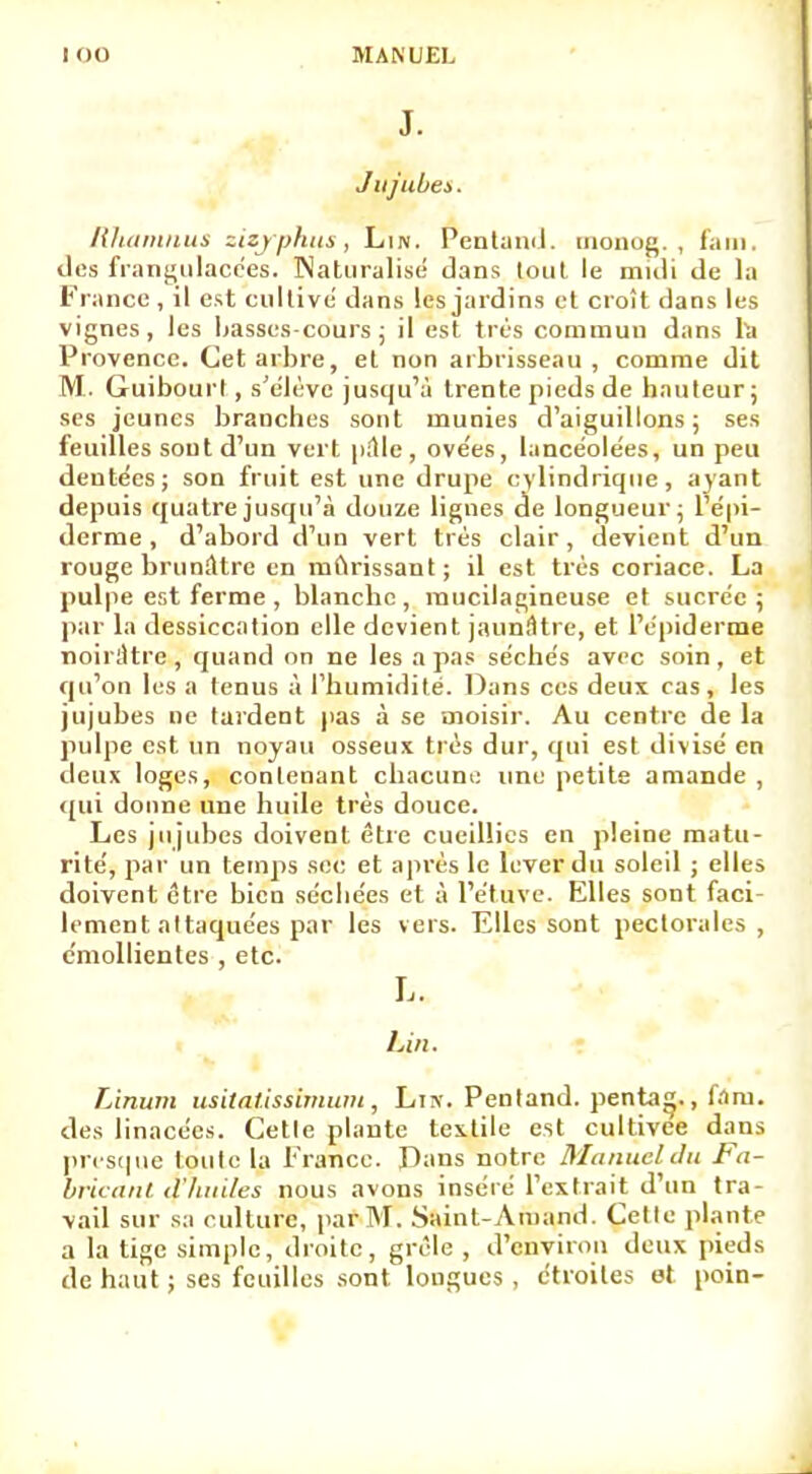 J. Jujubes. Rhamnus zizyphus, Lin. Pentand. monog., fam, des fratigulacées. Naturalisé dans tout le midi de la France, il est cultivé dans les jardins et croît dans les vignes, les basses-cours; il est très commun dans l'a Provence. Cet arbre, et non arbrisseau , comme dit M. Guibourt, s'élève jusqu'à trente pieds de hauteur; ses jeunes branches sont munies d'aiguillons; ses feuilles sout d'un vert p;1le, ovées, lancéolées, un peu dentées; son fruit est une drupe cylindrique, ayant depuis quatre jusqu'à douze lignes de longueur; l'épi- derme , d'abord d'un vert très clair , devient d'un rouge brunâtre en mûrissant; il est très coriace. La pulpe est ferme , blanche, raucilagineuse et sucrée; par la dessiccation elle devient jaunâtre, et l'épiderme noirâtre, quand on ne les a pas séchés avec soin, et qu'on les a tenus à l'humidité. Dans ces deux cas, les jujubes ne tardent pas à se moisir. Au centre de la pulpe est un noyau osseux très dur, qui est divisé en deux loges, contenant chacune une petite amande , qui donne une huile très douce. Les jujubes doivent être cueillies en pleine matu- rité, par un temps sec et après le lever du soleil ; elles doivent être bien séchées et à l'étuve. Elles sont faci- lement attaquées par les vers. Elles sont pectorales, cmollientes , etc. L. Lin. Linum usitat.issimum, Lin. Pentand. penta<*., fam. des linacées. Cetle plante textile est cultivée dans presque toute la France. Dans notre Manuel du Fa- bricant d'Iuiiles nous avons inséré l'extrait d'un tra- vail sur sa culture, par M. Sainl-Aniand. Cette plante a la tige simple, droite, grêle , d'environ deux pieds de haut ; ses feuilles sont longues , étroites et poin-
