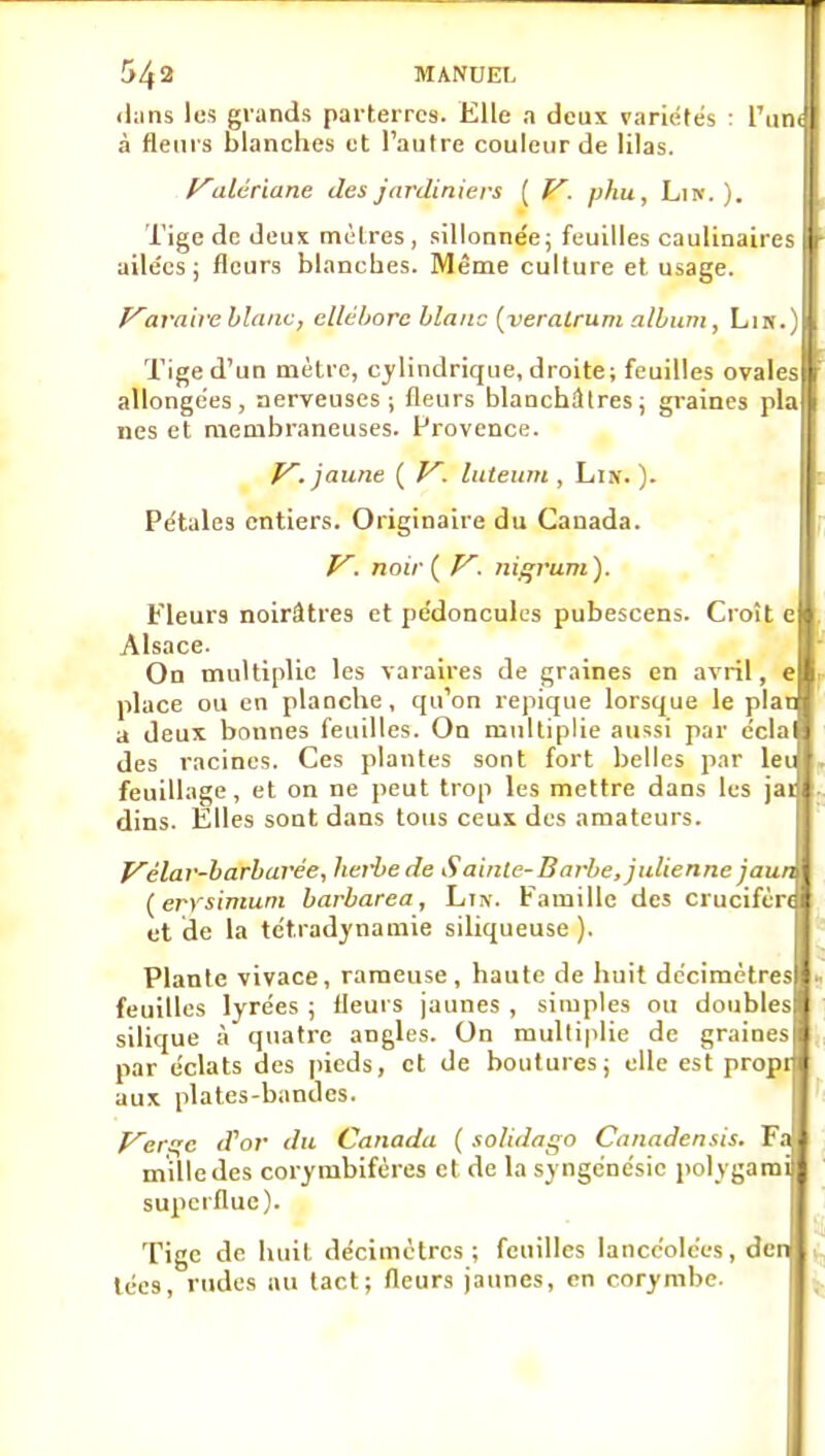 ihins les glands parterres. Elle a deux variétés : l'iii) à flems blanches et l'autre couleur de lilas. f^atcriane des jardiniers ( f^. phu. Lin. ). Tige de deux mètres , sillonne'e; feuilles caulinaire- i ailées; fleurs blanches. Même culture et usage. Varaire blanc, ellébore blanc {veralrum album, Lik . Tige d'un mètre, cylindrique, droite; feuilles ovale allongées, nerveuses; fleurs blanchâtres ; graines pl. nés et membraneuses, frovence. f^. jaune ( ItUeuni, Lin. ). I Pétales entiers. Originaire du Canada. y. noir { V^. }iigrum). Fleurs noirâtres et pédoncules pubescens. Croît e Alsace. On multiplie les varaires de graines en avril, e place ou en planche , qu'on repique lorsque le plat a deux bonnes feuilles. On multiplie aussi par éclal des racines. Ces plantes sont fort belles par let feuillage, et on ne peut trop les mettre dans lus jai dins. Elles sont dans tous ceux des amateurs. p^élar-barbarée, her-bede Sainte-Barbe, julienne jaun (errsimuni barbarea, Lt\. Famille des crucifèn et de la tétradynamie siliqueuse ). Plante vivace, rameuse, haute de huit décimètres feuilles lyrées ; fleurs jaunes , simples ou doubles silique à quatre angles. On multiplie de graines par éclats des pieds, et de boutures; elle est propi aux plates-bandes. F'crc;c (Tor du Canada ( solidago Canadensis. Fa mille des corymbifcres et de la syngcnésie polygarai superflue). Tige de huit décimètres; feuilles lancéolées, dei lées, rudes au tact; fleurs jaunes, en corymbe.