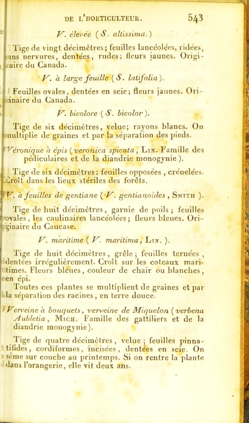 y. élevée ( S. alUssinia. ) Tige de vingt déciraèli es; feuilles lancéolées, ridées, lans nervures, dentées, rndes; fleurs jaunes. Origi- j jairc du Canada. F', à large fouille (S. latifolia). \- ! Feuilles ovales, dentées en scie; fleurs jaunes. Ori- icinaire du Canada. I- f^. bicolore ( S. bicolor ). Tige de six décimètres, velue; rayons blancs. On multiplie de graines et par la séparation des pieds. Véronique h épis ( veronica spicata , Lin. Famille des pédiculaires et de la diandrie monogynie ). Tige de six décimètres ; feuilles opposées , crénelées. -Croit dans les lieux stériles des forêts. 'F, h feuilles de gentiane genlianoides , Smjth ). Tige de huit décimètres, garnie de poils; feuilles >wales , les caulinaires lancéolées ; fleurs bleues. Ori- jiginaire du Caucase. V. maritime ( maritima, Lin. ). Tige de huit décimètres , grêle ; fouilles ternécs , ^dentées irrégulièrement. Croît sur les coteaux mari- iitimes. Fleurs bleues, couleur de chair ou blanches , cien épi. Toutes ces plantes se multiplient de graines et par Ua séparation des racines, en terre douce. i Verveine a bouquets, ven'eine de Miquelon [verbena yiublelia, MicH. Famille des gattiliers et de la diandrie monogynie). _ Tige de quatre décimètres , velue ; feuilles pinna- ' tifldes, cordiformes, incisées, dentées en scie. On ■ seme sur couche au printemps. Si on rentre la plante idans l'orangerie, elle vil deux <ins.