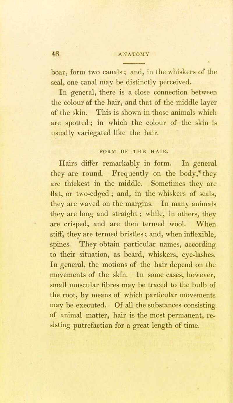 boar, form two canals ; and, in the whiskers of the seal, one canal may be distinctly perceived. In general, there is a close connection between the colour of the hair, and that of the middle layer of the skin. This is shown in those animals which are spotted; in which the colour of the skin is usually variegated like the hair. FORM OF THE HAIR. Hairs differ remarkably in form. In general they are round. Frequently on the body,^ they are thickest in the middle. Sometimes they are flat, or two-edged; and, in the whiskers of seals, they are waved on the margins. In many animals they are long and straight; while, in others, they are crisped, and are then termed wool. When stiff, they are termed bristles; and, when inflexible, spines. They obtain particular names, according to their situation, as beard, whiskers, eye-lashes. In general, the motions of the hair depend on the movements of the skin. In some cases, however, small muscular fibres may be traced to the bulb of the root, by means of which particular movements may be executed. Of all the substances consisting of animal matter, hair is the most permanent, re- sisting putrefaction for a great length of time.