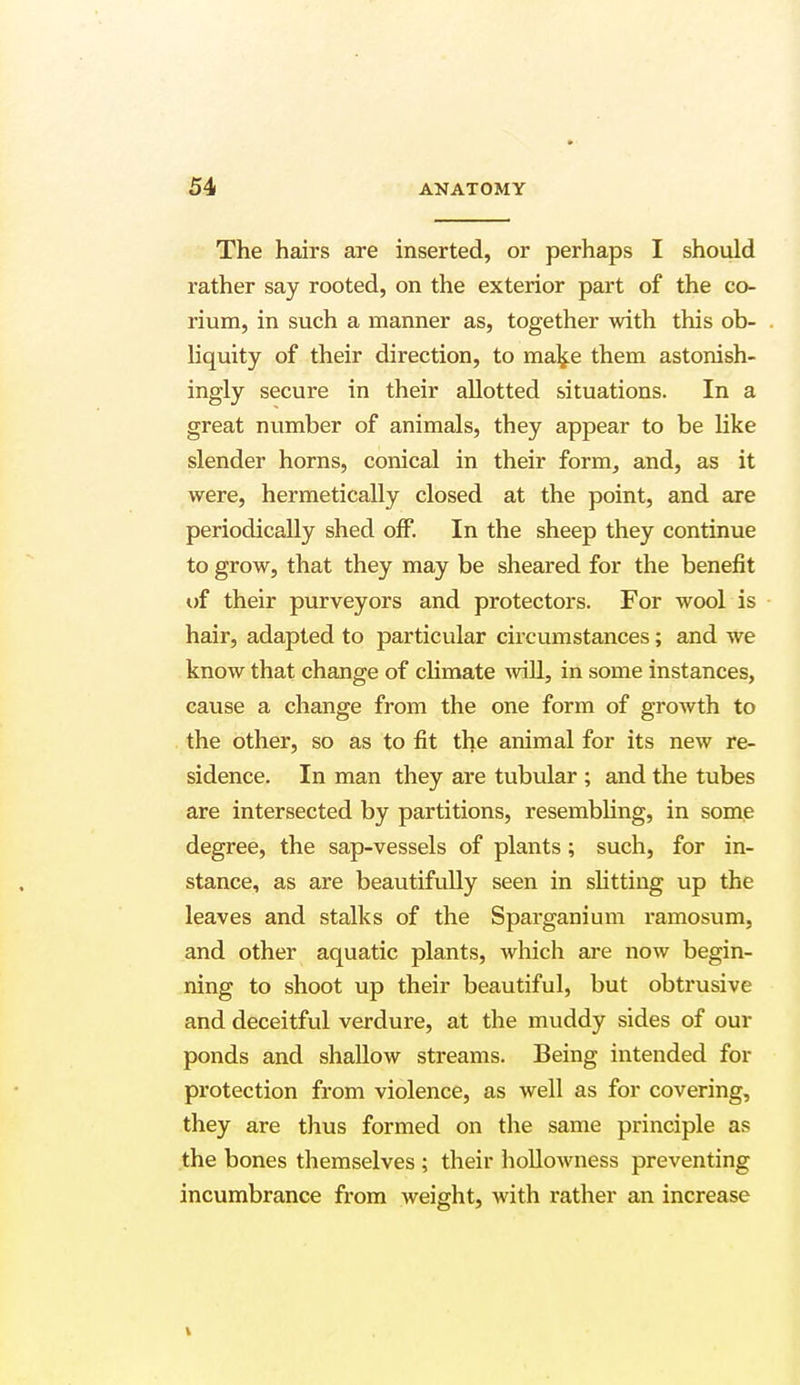 The hairs are inserted, or perhaps I should rather say rooted, on the exterior part of the co- rium, in such a manner as, together with this ob- liquity of their direction, to make them astonish- ingly secure in their allotted situations. In a great number of animals, they appear to be like slender horns, conical in their form, and, as it were, hermetically closed at the point, and are periodically shed off. In the sheep they continue to grow, that they may be sheared for the benefit of their purveyors and protectors. For wool is hair, adapted to particular circumstances; and we know that change of climate will, in some instances, cause a change from the one form of growth to the other, so as to fit the animal for its new re- sidence. In man they are tubular ; and the tubes are intersected by partitions, resembling, in some degree, the sap-vessels of plants; such, for in- stance, as are beautifully seen in slitting up the leaves and stalks of the Sparganium ramosum, and other aquatic plants, which are now begin- ning to shoot up their beautiful, but obtrusive and deceitful verdure, at the muddy sides of our ponds and shallow streams. Being intended for protection from violence, as well as for covering, they are thus formed on the same principle as the bones themselves ; their hollowness preventing incumbrance from weight, with rather an increase