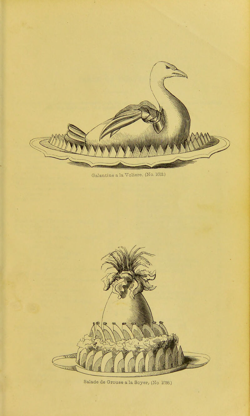 Galantine alaVoliere, (No. 1012.) Salade de GrouBe a la Soyer, (No 1C38.)