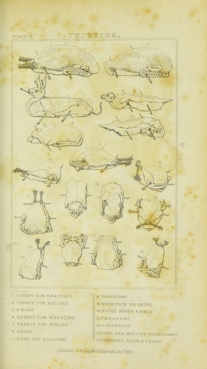V - i .TUKKZY FOR ROASTING 2. TUR3<I-:Y FO K BOX I,TN C 3. A tfAKK 4. KABBTTF0R RO/SSTTNG 3. RABBIT FOR ftOlUKTG  6.00DSE •/.rO-WL rOR ROASTIWG 8. J'A R l'RT n OK 9. WOOD COCK OR SNIPE TO. D U CKS FRONT A- B kC^ ir.PHliAS ANT K.h ARTRl I. T3,.hOW.a. TOR BOILING HAC3< * I'linRTr M^PIBGEONS BACKALVHONT