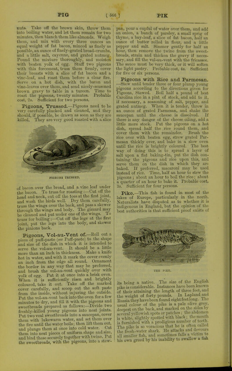 nuts. Tako oflE the brown skin, throw thorn into boilin{jf water, and lot them remain for two minutes, then blanch them like almonds. Weigh them, and mix with every tlireo ounces an equal weight of fat bacon, minced as finely as possible, an ounce of finely-grated bread-crumbs, and a little salt, cayemie, and gi-ated nutmeg. Pound the mixture thoroughly, and moisten with beaten yolk of egg. iStiift two pigeons with this forcemeat, truss them firmly, cover their bvc;ists with a slice of fat bacon and a vine-leaf, and roast them before a clear fire. Serve on a hot dish, with the bacon and vino-leaves over them, and send nicely-seasoned brown gravy to table in a tureen. Time to roast the pigeons, twenty minutes. Probable cost, 2s. Sufficient for two persons. Pigeons, Trussed.—Pigeons need to bo very carefully plucked and cleaned, and they should, if possible, be drawn as soon as they are killed. They are very good roasted with a slice PIGEONS TRUSSED. of bacon over the bread, and a vine leaf under the bacon. To truss for roasting :—Cut off the head and neck, cut off the toes at the first joint, and wash the bii-ds well. Dry them carefully, truss the wings over the back, and pass a skewer through the wings and body. The gizzard may be cleaned and put under one of the wings. To truss for boiling :—Cut off the legs at the first joint, put the legs into the body, and skewer the pinions back. Pigeons, Vol-au-Vent of.—RoU out a piece of puff-paste [sec Puff-paste) to the shape and size of the dish in which it is intended to serve the vol-au-vent. It should be a little more than an inch in thickness. Make a knife hot in water, and with it mark the cover evenly an inch from the edge all round. Ornament the border in any way that may be preferred, and brush the vol-au-vent quickly over with yolk of egg. Put it at once into a brisk oven. When it is sufficiently risen and brightly coloured, take it out. Take off the marked cover carefully, and scoop out the soft paste from the inside, without injuring the outside. Put the vol-au-vent back into the oven for a few minutes to drj', and fill it with the pigeons and sweetbreads prepared as follows:—Divide two freshly-killed young pigeons into neat joints. Put two veal sweetbreads into a saucepan, cover them with lukewarm water, and set them over the fire until the water boils; then lift them out, and plunge them at once into cold water. Cut them into neat pieces of uniform shape and size, and bind these securely together with twine. 1 ut the sweetbreads, with the pigeons, into a stew- pan, pour a cupful of water over them, and qAjI an onion, a bunch of parsley, a small spng of thjTne, a bay-leaf, a shce of fat bacon, half an ounce of butter rolled in fiour, and a little popper and salt. Siinm(;r gently for half an hour, then remove the twine from the sweet- breads, strain and thicken the gi'avy if neces- sary, and fill the vol-au-vent with the fricassee. The sauce must be very thick, or it will soften the light pastry. Probable cost, 48. Sufficient for five or six persons. Pigeons with Rice and Parmesan. —Stew until tender three or four plump young pigeons according to the directions given for Pigeons, Stewed. Boil half a pound of best Carolina rice in a pint of stock, and add to it, if necessary, a seasoning of salt, pepixir, and grated nutmeg. When it is tender, throw in an ounce of grated Parmesan, and shake the saucepan until the cheese is dissolved. If there is any danger of the cheese oiling, add a little more stock. Put the pigeons on a hot dish, spread half the rice round them, and cover them with the remainder. Brush the rice over with, beaten egg, strew grated Par- mesan thickly over, and bake in a slow oven until the rice is brightly coloured. The best way of doing this is to sjjread a layer of salt upon a flat baking-tin, put the dish con- taining the pigeons and rice upon this, and serve them on the dish in wluch they are baked. If prefei-red, macaroni may be used instead of rice. Time, half an hour to stew the pigeons ; about an hour to boil the rice; about a quarter of an hour to bake it. Probable cost, 3s. Sufficient for fonr persons. Pike.—This fish is found in most of the lakes of Europe, particularly in the noi-th. Naturalists have disputed as to whether it is indigenous in England, but the opinion of the best authorities is that sufficient proof exists of THE PIKE. its being a native. The size of the English pike is considerable. Instances have been known of their attaining the length of tliree feet, and the weight of forty pounds. In Lapland and Russia they have been found eight feet long. The usual colour of the pike is a pale olive grey, deepest on the back, and marked on the sides by several yellowish spots or patches ; the abdomen is white, slightlv spotted with black ; the mouth is furnished with a prodigious number of teolh The pike is so voracious that he is often callo.l the fresh-water shark. He attacks and devours all smaller fish, and sometimes faUs a victim t^ his own greed by his inability to swallow a fasiv