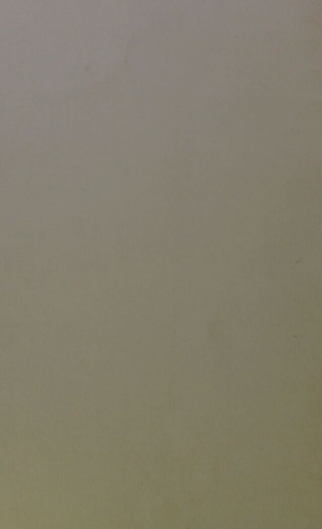 digitised image 2