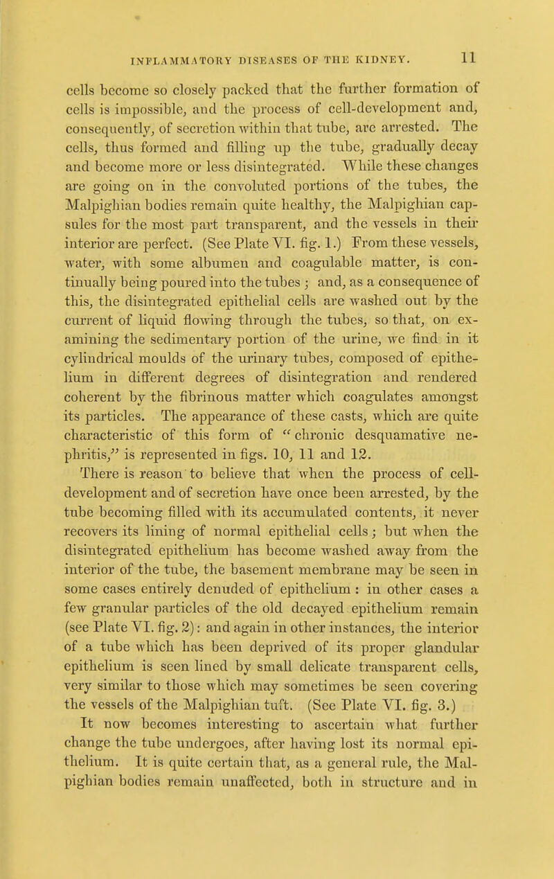 cells become so closely packed that the further formation of cells is impossible^ and the process of cell-development and, consequently, of secretion within that tube, are arrested. The cells, thus formed and filling up the tube, gradually decay and become more or less disintegrated. While these changes are going on in the convoluted portions of the tubes, the Malpighian bodies remain quite healthy, the Malpighian cap- sules for the most part transparent, and the vessels in theii' interior are perfect. (See Plate VI. fig. 1.) From these vessels, water, with some albumen and coagulable matter, is con- tinually beiiig poured into the tubes ; and, as a consequence of this, the disintegrated epithelial cells are washed out by the current of liquid flowing through the tubes, so that, on ex- amining the sedimentary portion of the urine, we find in it cylindrical moulds of the urinary tubes, composed of epithe- lium in different degrees of disintegration and rendered coherent by the fibrinous matter which coagulates amongst its particles. The appearance of these casts, which are quite characteristic of this form of  chronic desquamative ne- phritis,''^ is represented in figs. 10, 11 and 12. There is reason to believe that when the process of cell- development and of secretion have once been arrested, by the tube becoming filled with its accumulated contents, it never recovers its lining of normal epithelial cells; but when the disintegrated epithelium has become washed away from the interior of the tube, the basement membrane may be seen in some cases entirely denuded of epithelium : in other cases a few granular particles of the old decayed epithelium remain (see Plate VI. fig. 2): and again in other instances, the interior of a tube which has been deprived of its proper glandular epithelium is seen lined by smaU delicate transparent cells, very similar to those which may sometimes be seen covering the vessels of the Malpighian tuft. (See Plate VI. fig. 3.) It now becomes interesting to ascertain what further change the tube undergoes, after having lost its normal epi- thelium. It is quite certain that, as a general rule, the Mal- pighian bodies remain unaffected, both iu structure and in