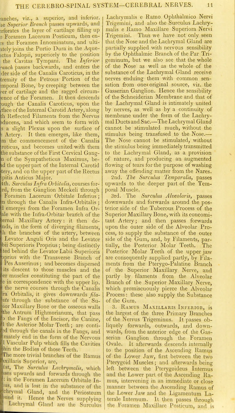 ■anches, viz., a superior, and inferior, le Siiperio?- Branch passes upwards, and irforates the layer of cartilage iilling up s Foramen Lacerum Posticum, then en- rs the Foramen Innominatum, and ulti- atelyjoins the Portio Dura in the Aque- ictus Falopii, superiorly to the position the Cavitas Tympani. The Inferior '(inch passes backwards, and enters the der side of tiie Canalis Caroticus, in tlae tremity of the Petrous Portion of the imporal Bone, by creeping between the 'er of cartilage and the ragged circum- ence of the Foramen. It then descends •ough the Canalis Caroticus, upon the rface of the Internal Carotid Artery, along th Reflected Filaments from the Nervus )ducens, and which seem to form with s a slight Plexus upon the surface of ! Artery. It then emerges, like them, ra the commencement of the Canalis roticus, and becomes united with them the substance of the First Cervical Gang- n of the Sympatheticus Maximus, be- id the upper part of the Internal Carotid tery, and on the upper part of the Rectus .pitis Anticus Major, ith. Surculus Infra Orbitulis, courses for- rd, from the Ganglion Meckeli through Foramen Lacerum Orbitale Inferius; n through the Canalis Infra-Orbitalis ; i emerges from the Foramen Infra Or- ale with the Infra-Orbitar brarfch of the .ernal Maxillary Artery: it then de- nds, in the form of diverging filaments, Ji the branches of the artery, between Levator Anguli Oris and the Levator bii Superioris Proprius; being distinctly ted behind the Levator Labii Superioris )prius with the Transverse Branch of Pes Anserinus; and becomes dispersed its descent to those muscles and the er muscles constituting the part of the e in correspondence with the upper lip. the nerve courses through the Canalis ra Orbitalis, it gives downwards f la- ils through the substance of the Su- ior Maxillary Bone or the osseous walls the Antrum Highmorianum, that pass J the Fangs of the Incisor, the Canine, I the Anterior Molar Teeth ; are conti- ;d through the canals in the Fangs, and mately end in the form of the Nervous I Vascular Pulp which fills the Cavities bin the Bodies of those Teeth. The more trivial branches of the Ramus ixillaris Superior, are, 1st, The Surculus Lachrymalis, which ises upwards and forwards through the t in the Foramen Lacerum Orbitale In- us, and is lost in the substance of the chrymal Gland, and the Periosteum •und it. Hence the Nerves supplying Lachrymal Gland are the Surculus Lachrymalis e Ramo Ophthalmico Nervi Trigemini, and also the Surculus Lachiy- malis e Ramo Maxillare Superiora Nervi Trigemini. Thus we have not only seen that the Nose and the Lachrymal Gland are partially supplied with nervous sensibility hy the Ophthalmic Branch of the Par Tri- geminum, but we also see that the whole of the Nose as well as the whole of the substance of the Lachrymal Gland receive nerves enduing them with common sen- sation from one< original source, viz. the Gasserian Ganglion. Hence the sensibility of the Schneiderian Membrane and that of the Lachrymal Gland is intimately united by nerves, as well as by a continuity of membrane under the form of the Lachry- mal Ducts and Sac.—The Lachrymal Gland cannot be stimulated much, without the stimulus being transfused to the Nose.— The Nose cannot be stimulated, without the stimulus being immediately transmitted to the Lachrymal Gland, as a provision of nature, and producing an augmented flowing of tears for the purpose of washing away the offending matter from the Nares. 2nd. The Surculus Temporalis, passes upwards to the deeper part of the Tem- poral Muscle. 3rd. The Surculus Alveolar is, passes downwards and forwards around the pos- terior side of the Tuberous Process of the Superior Maxillary Bone, with its concomi- tant Artery; and then passes forwards upon the outer side of the Alveolar Pro- cess, to supply the substance of the outer side of the Gum, and, by Filaments, par- tially, the Posterior Molar Teeth. The Posterior Molar Teeth of the upper jaw are consequently supplied partly, by Fila- ments from the Pterygo-Palatine Branch of the Superior Maxillary Nerve, and partly by filaments from the Alveolar Branch of the Superior Maxillary Nei-ve, which promiscuously pierce the Alveolar Process: these also supply the Substance of the Gum. 3. Ramus Maxillaris Inferior, is the largest of the three Primary Branches of the Nervus Trigeminus. It passes ob- liquely forwards, outwards, and down- wards, from the anterior edge of the Gas- serian Ganglion through the Foramen Ovale. It afterwards descends internally to the position of the Ascending Ramus of tlie Lower Jaw, first between the two Pterygoid Muscles; and afterwards being left between the Ptcrygoideus Internus and the Lower part of the Ascending Ra- mus, intervening in an immediate or close manner between the Ascending Ramus of the Lower Jaw and the Ligamentum La- terale Internum. It then passes through the Foramen Maxillare Posticum, and is