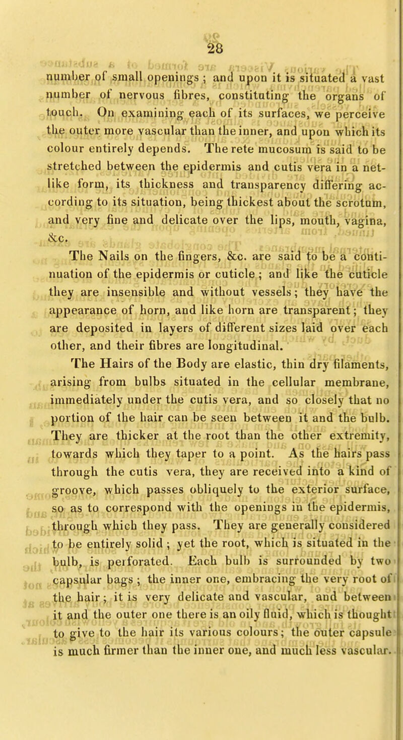 number ot small openings ; and upon it is situated a vast number of nervous fibres, constituting- the organs of touch, On examining each of its surfaces, we perceive the outer more vascular than the inner, and upon which its colour entirely depends. Therete mucosum is said to be stretched between the epidermis and cutis vera in a net- like form, its thickness and transparency differing ac- cording to its situation, being thickest about the scrotum, and very fine and delicate over the lips, mouth, vag-ina, , . The Nails on the fingers, 8cc. are saicl to'be'a^ conti- nuation of the epidermis or cuticle ; and like the cuticle ; they are insensible and without vessels; they have the appearance of horn, and like horn are transparent; they are deposited in layers of diffierent sizes laid over each other, and their fibres are longitudinal. The Hairs of the Body are elastic, thin dry filaments, . arising from bulbs situated in the cellular membrane, immediately under the cutis vera, and so closely that no I portion of the hair can be seen between it and the bulb. atiiiiE^^^y thicker at the root than the other extremity, ^^wards which they taper to a point. As the hairs pass through the cutis vera, they are received into a kind of ofi<^'°°^®» which passes obliquely to the exterior surface, bac correspond with the openings in the epidermis, jjg^-|^rough which they pass. They are generally considered doid^ be entirely solid ; yet the root, which is situated in the • adi ^j^lh,^is perforated. Each bulb is surrounded by twc )oa P^P^^^* bags ; the inner one, embracing the very root of i . ^ the hair; it is very delicate and vascular, and betweeni iifol'j'^ and the outer one there is an oily fluid, which is thought! *i«liJit8 give to the hair its various colours; the outer capsule is much firmer than the inner one, and much less vascular.