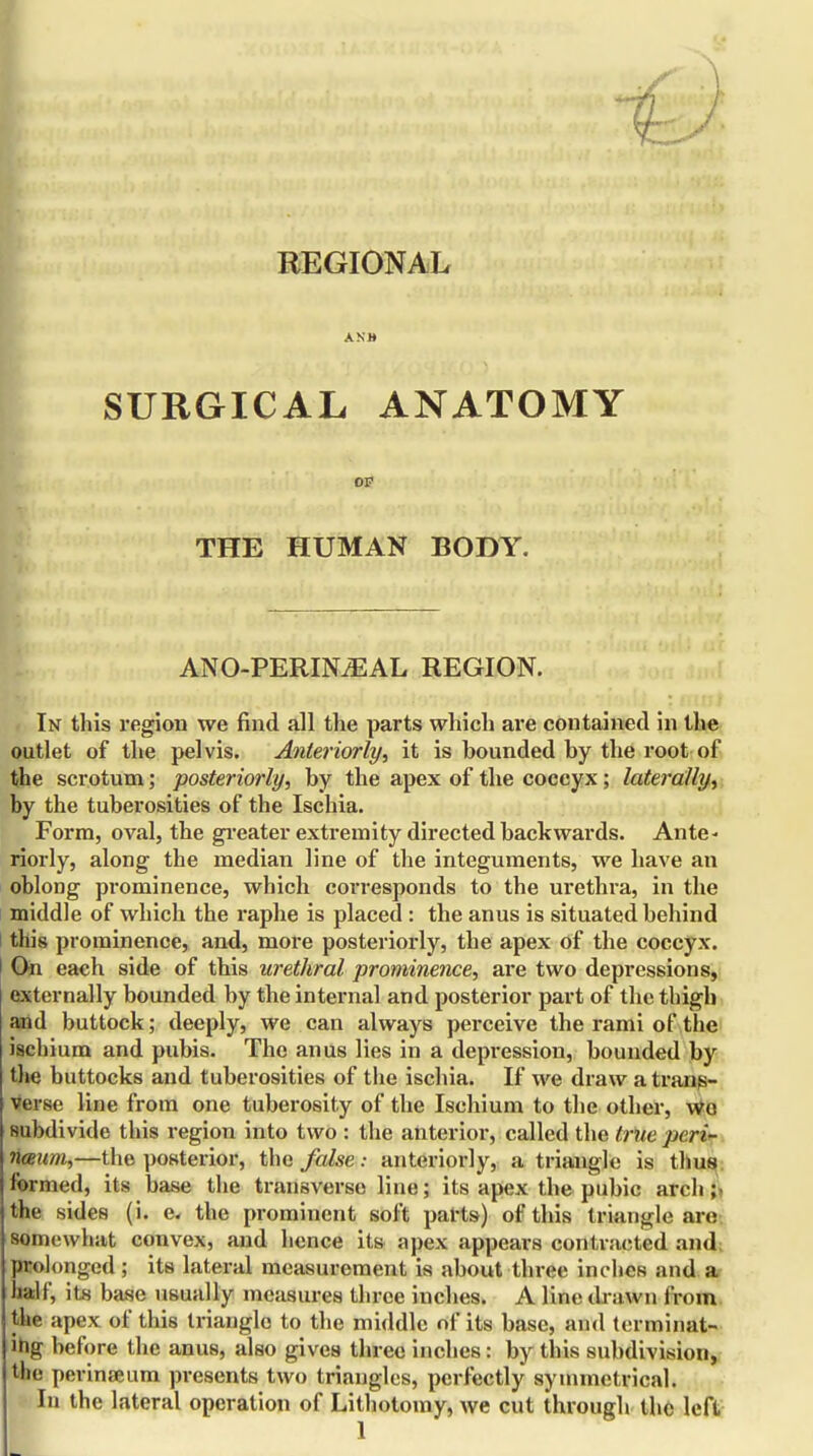 REGIONAL SURGICAL ANATOMY OP THE HUMAN BODY. ANO-PERIN.EAL REGION. In this region we find all the parts which are contained in the outlet of the pelvis. Anteriorly, it is bounded by the root of the scrotum; posteriorly, by the apex of the coccyx; laterally, by the tuberosities of the Ischia. Form, oval, the greater extremity directed backwards. Ante- riorly, along the median line of the integuments, we have an oblong prominence, which corresponds to the urethra, in the middle of which the raphe is placed : the anus is situated behind this prominence, and, more posteriorly, the apex of the coccyx. I On eaeh side of this urethral prominence, are two depressions, externally bounded by the internal and posterior part of the thigh and buttock; deeply, we can always perceive the rami of the ischium and pubis. The anus lies in a depression, bounded by the buttocks and tuberosities of the ischia. If we draw a trans- verse line from one tuberosity of the Ischium to the other, wo subdivide this region into two : the anterior, called the trite peri- nceum,—the posterior, the false: anteriorly, a triangle is thus formed, its base the transverse line; its apex the pubic arch ;• the sides (i. e. the prominent soft parts) of this triangle are. somewhat convex, and hence its apex appears contracted and; prolonged; its lateral measurement is about three inches and a half, its base usually measures three inches. A line drawn from the apex of this triangle to the middle of its base, and terminat- ing before the anus, also gives three inches: by this subdivision, the perinseum presents two triangles, perfectly symmetrical. In the lateral operation of Lithotomy, we cut through the left