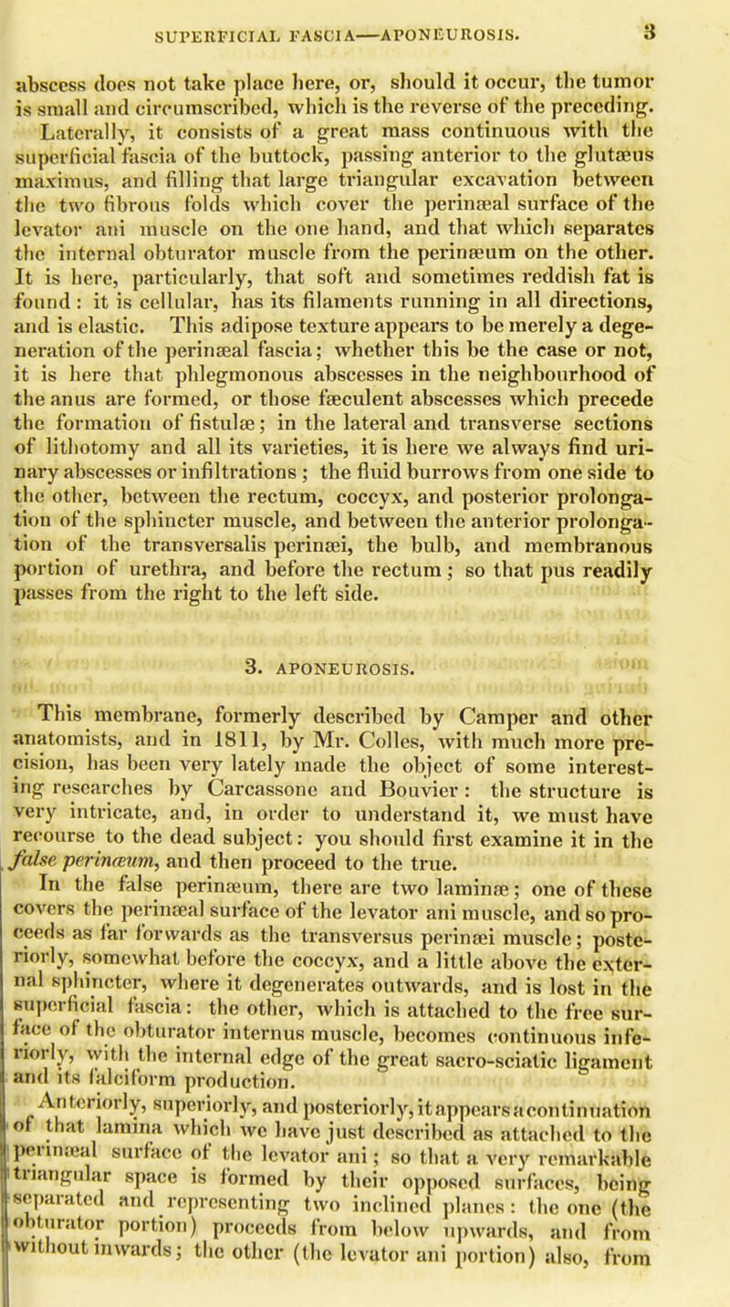 SUPERFICIAL FASCIA APONEUROSIS. abscess does not take place here, or, should it occur, the tumor is small and circumscribed, which is the reverse of the preceding. Laterally, it consists of a great mass continuous with the Superficial fascia of the buttock, passing anterior to the glutams maximus, and filling that large triangular excavation between tlie two fibrous folds which cover the perinseal surface of the levator ani muscle on the one hand, and that which separates the internal obturator muscle from the perinseum on the other. It is here, particularly, that soft and sometimes reddish fat is found : it is cellular, has its filaments running in all directions, and is elastic. This adipose texture appears to be merely a dege- neration of the perinseal fascia; whether this be the case or not, it is here that phlegmonous abscesses in the neighbourhood of the anus are formed, or those faeculent abscesses which precede the formation of fistulae; in the lateral and transverse sections of lithotomy and all its varieties, it is here we always find uri- nary abscesses or infiltrations ; the fluid burrows from one side to the other, between the rectum, coccyx, and posterior prolonga- tion of the sphincter muscle, and between the anterior prolonga- tion of the transversalis perinaei, the bulb, and membranous portion of urethra, and before the rectum ; so that pus readily passes from the right to the left side. 3. APONEUROSIS. This membrane, formerly described by Camper and other anatomists, and in 1811, by Mr. Colles, with much more pre- cision, has been very lately made the object of some interest- ing researches by Carcassone and Bouvier : the structure is very intricate, and, in order to understand it, we must have recourse to the dead subject: you should first examine it in the false perinceum, and then proceed to the true. In the false perinseum, there are two laminse; one of these covers the perinsea] surface of the levator ani muscle, and so pro- ceeds as far forwards as the transversus perinsei muscle; poste- riorly, somewhat before the coccyx, and a little above the exter- nal sphincter, where it degenerates outwards, and is lost in the superficial fascia: the other, which is attached to the free sur- face of the obturator internus muscle, becomes continuous infe- worly, with the internal edge of the great sacro-sciatic ligament and its falciform production. Anteriorly, superiorly, and posteriorly,itappearsacontinuation oi that lamina which we have just described as attached to the perinseal surface of the levator ani; so that a very remarkiihle triangular space is formed by their opposed surfaces, being separated and representing two inclined planes: the one (the obturator portion) proceeds from below upwards, and from 'Withoutinwards; the other (the levator ani portion) also, from