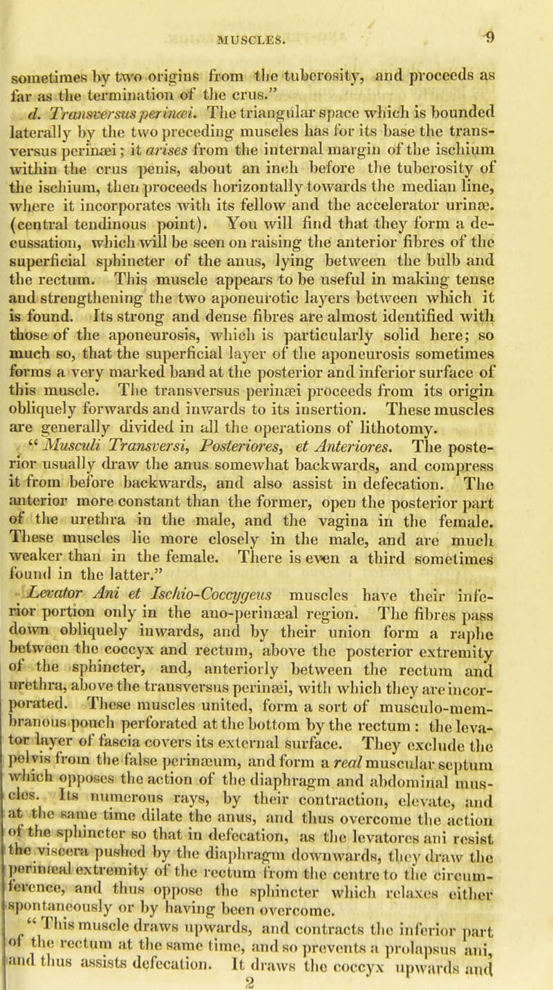 sometimes by two origins from the tuberosity, and proceeds as far as the termination of the cms. d. Transversusperincei. The triangular space which is bounded laterally by the two preceding muscles has for its base the trans- versus perinaei; it arises from the internal margin of the ischium within the cms penis, about an incb before the tuberosity of the ischium, then proceeds horizontally towards the median line, where it incorporates with its fellow and the accelerator urinae. (central tendinous point). You will find that they form a de- cussation, which will be seen on raising the anterior fibres of the superficial sphincter of the anus, lying between the bulb and the rectum. This muscle appears to be useful in making tense and strengthening the two aponeurotic layers between which it is found. Its strong and dense fibres are almost identified with those of the aponeurosis, which is particularly solid here; so much so, that the superficial layer of the aponeurosis sometimes forms a very marked band at the posterior and inferior surface of this muscle. The transversus perinaei proceeds from its origin obliquely forwards and inwards to its insertion. These muscles are generally divided in all the operations of lithotomy.  Musculi Transversi, Posteriores, et Anteriores. The poste- rior usually draw the anus somewhat backwards, and compress it from before backwards, and also assist in defecation. The anterior more constant than the former, open the posterior part of the urethra in the male, and the vagina in the female. These muscles lie more closely in the male, and are much weaker than in the female. There is even a third sometimes found in the latter. ■ Levator Ani et Ischio-Coccygeus muscles have their infe- rior portion only in the ano-perinaeal region. The fibres pass down obliquely inwards, and by their union form a raphe between the coccyx and rectum, above the posterior extremity of the sphincter, and, anteriorly between the rectum and urethra, above the transversus perinaei, with which they are incor- porated. These muscles united, form a sort of musculo-mem- branous pouch perforated at the bottom by the rectum : the leva- tor layer of fascia covers its external surface. They exclude the I'd vis from the false pcrimcum, and form a real muscular septum Avlnch opposes the action of the diaphragm and abdominal mus- cles, lis numerous rays, by their contraction, elevate, :md at the same time dilate the anus, and thus overcome the action of the sphincter so that in defecation, as the levatorcs ani resist the viscera pushed by the diaphragm dowuwards, they draw the peniiieal extremity of the rectum from the centre to the circum- ftwence, and thus oppose the sphincter which irelaxes either spontaneously or by having been overcome.  This muscle draws upwards, and contracts the inferior part of the rectum at the same time, and so prevents a prolapsus ani, and thus assists defecation. It draws the coccyx upwards mu\