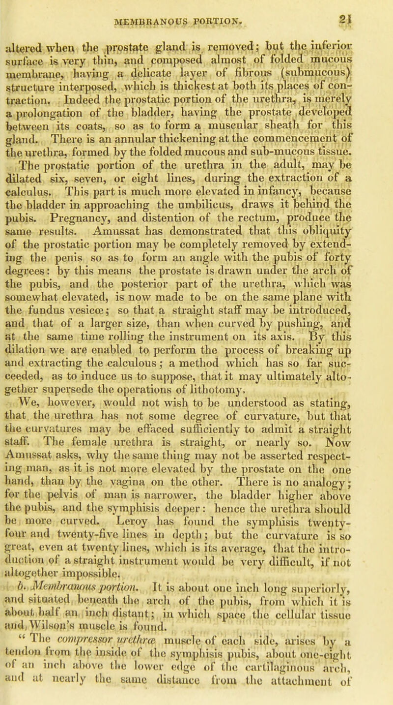 altered when the prostate gland is removed; but tfye inferior surface is very thin, and composed almost of folded mucous membrane, having a delicate layer of fibrous (submucous) structure interposed, which is thickest at both its places of con- traction. Indeed the prostatic portion of the urethra, is merely a prolongation of the bladder, having the prostate developed between its coats, so as to form a muscular sheath for this gland. There is an annular thickening at the commencement of the urethra, formed by the folded mucous and sub-mucous tissue. The prostatic portion of the urethra in the adult, may be dilated six, seven, or eight lines, during the extraction of a calculus. This part is much more elevated in infancy, because the bladder in approaching the umbilicus, draws it behind the pubis. Pregnancy, and distention of the rectum, produce the same results. Amussat has demonstrated that this obliquity of the prostatic portion may be completely removed by extend- ing the penis so as to form an angle with the pubis of forty degrees: by this means the prostate is drawn under the arch of the pubis, and the posterior part of the urethra, which was somewhat elevated, is now made to be on the same plane with the fundus vesicce; so that a straight staff may be introduced, and that of a larger size, than when curved by pushing, and at the same time rolling the instrument on its axis. By this dilation we are enabled to perform the process of breaking up and extracting the calculous ; a method which has so far suc- ceeded, as to induce us to suppose, that it may ultimately alto- gether supersede the operations of lithotomy. We, however, would not wish to be understood as stating, that the urethra has not some degree of curvature, but that the curvatures may be effaced sufficiently to admit a straight staff. The female urethra is straight, or nearly so. Now Amussat asks, why the same thing may not be asserted respect- ing man, as it is not more elevated by the prostate on the one hand, than by the vagina on the other. There is no analogy; for the pelvis of man is narrower, the bladder higher above the pubis, and the symphisis deeper: hence the urethra should be more curved. Leroy has found the symphisis twenty- four and twenty-five lines in depth; but the curvature is so great, even at twenty lines, which is its average, that the intro- duction of a, straight instrument would be very difficult, if not altogether impossible. h. Membranous portion. It is about one inch long superiorly, and situated beneath the arch of the pubis, from which il is ahoul, half an inch distant; in which space the cellular tissue and; Wilson's muscle is found.  The compressor urdhrcc muscle of each side, arises by a tendon from the inside of tlx; symphisis pubis, about one-eight of an inch above the lower edge of the cartflaginous arch, and at nearly the same distance from the attachment of