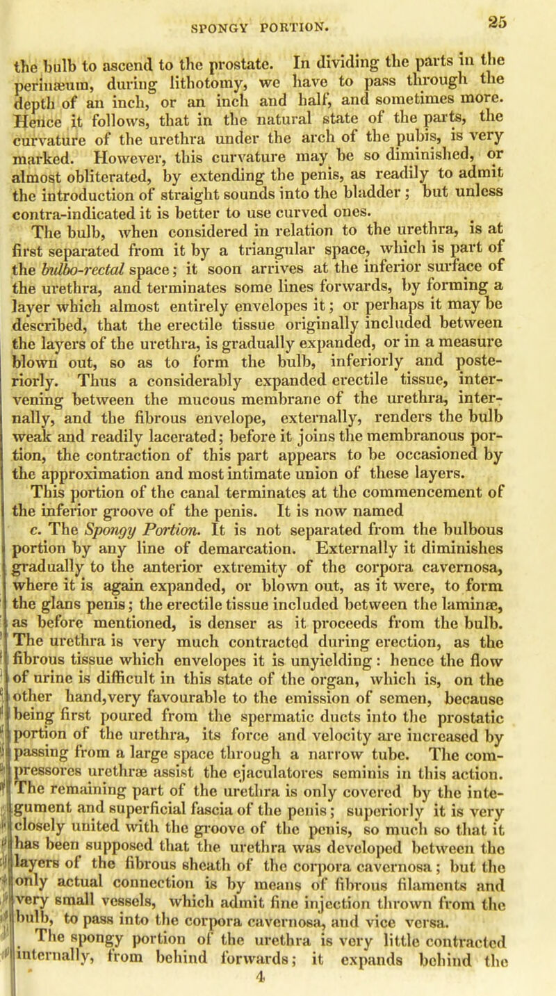 SPONGY PORTION. the bulb to ascend to the prostate. In dividing the parts in the perinseum, during lithotomy, we have to pass through the depth of an inch, or an inch and half, and sometimes more. Hence it follows, that in the natural state of the parts, the curvature of the urethra under the arch of the pubis, is very marked. However, this curvature may be so diminished, or almost obliterated, by extending the penis, as readily to admit the introduction of straight sounds into the bladder ; but unless contra-indicated it is better to use curved ones. The bulb, when considered in relation to the urethra, is at first separated from it by a triangular space, which is part of the bulbo-rectal space; it soon arrives at the inferior surface of the urethra, and terminates some lines forwards, by forming a layer which almost entirely envelopes it; or perhaps it may be described, that the erectile tissue originally included between the layers of the urethra, is gradually expanded, or in a measure blown out, so as to form the bulb, inferiorly and poste- riorly. Thus a considerably expanded erectile tissue, inter- vening between the mucous membrane of the urethra, inter- nally, and the fibrous envelope, externally, renders the bulb weak and readily lacerated; before it joins the membranous poi- tion, the contraction of this part appears to be occasioned by the approximation and most intimate union of these layers. This portion of the canal terminates at the commencement of the inferior groove of the penis. It is now named c. The Spongy Portion. It is not separated from the bulbous portion by any line of demarcation. Externally it diminishes gradually to the anterior extremity of the corpora cavernosa, where it is again expanded, or blown out, as it were, to form the glans penis; the erectile tissue included between the laminae, as before mentioned, is denser as it proceeds from the bulb. The urethra is very much contracted dui'ing erection, as the fibrous tissue which envelopes it is unyielding: hence the flow of urine is difficult in this state of the organ, which is, on the other hand,very favourable to the emission of semen, because being first poured from the spermatic ducts into the prostatic portion of the urethra, its force and velocity are increased by passing from a large space through a narrow tube. The com- pressores urethras assist the ejaculatores seminis in this action. The remaining part of the urethra is only covered by the inte- gument and superficial fascia of the penis; superiorly it is very closely united with the groove of the penis, so much so that it has been supposed that the. urethra was developed between the layers of the fibrous sheath of the corpora cavernosa; but the only actual connection is by means of fibrous filaments and very small vessels, which admit fine injection thrown from die bulb, to pass into the corpora cavernosa, and vice versa. The spongy portion of the urethra is very little contracted internally, from behind forwards; it expands behind the 4