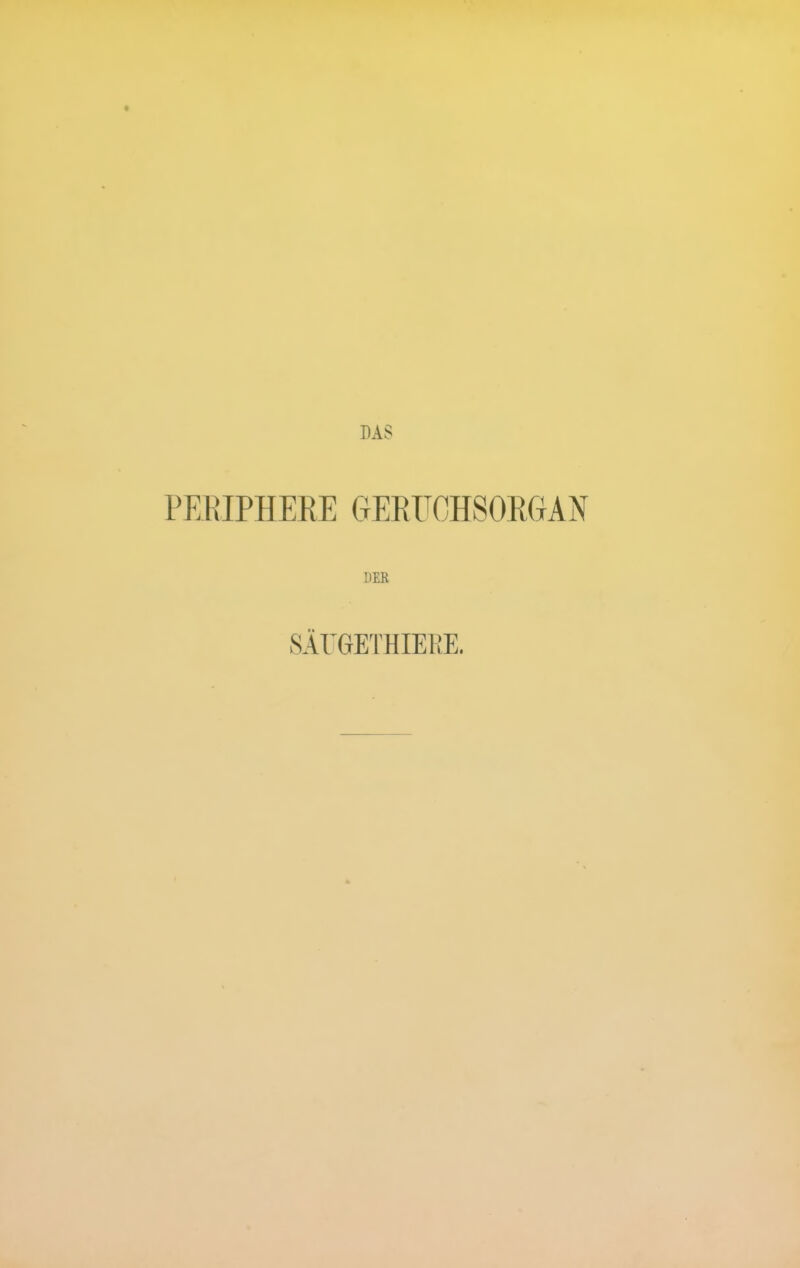 BAS PEEIPHERE CtERFCHSORGAN DER SÄrGETHIERE.