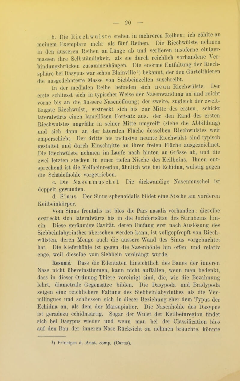 b. Die Riech Wülste stehen in mehreren Reihen; ich zählte an meinem Exemplare mehr als fünf Reihen. Die Riechwülste nehmen in den äusseren Reihen an Länge ab und verlieren insoferne einiger- massen ihre Selbständigkeit, als sie durch reichlich vorhandene Ver- bindungsbrücken zusammenhängen. Die enorme Entfaltung der Riech- sphäre bei Dasypus war schon Blainville ') bekannt, der den Gürtelthieren die ausgedehnteste Masse von Siebbeinzellen zuschreibt. In der medialen Reihe befinden sich neun Riechwülste. Der erste schliesst sich in typischer Weise der Nasenwandung an und reicht vorne bis an die äussere Nasenöffnung; der zweite, zugleich der zweit- längste Riechwulst, erstreckt sich bis zur Mitte des ersten, schickt lateralwärts einen lamellösen Fortsatz aus, der den Rand des ersten Riechwulstes ungefähr in seiner Mitte umgreift (siehe die Abbildung) und sich dann an der lateralen Fläche desselben Riechwulstes weit emporschiebt. Der dritte bis inclusive neunte Riechwulst sind typisch gestaltet und durch Einschnitte an ihrer freien Fläche ausgezeichnet. Die Riechwülste nehmen im Laufe nach hinten an Grösse ab, und die zwei letzten stecken in einer tiefen Nische des Keilbeins. Ihnen ent- sprechend ist die Keilbeinregion, ähnlich wie bei Echidna, wulstig gegen die Schädelhöhle vorgetrieben. c. Die Nasenmuschel. Die dickwandige Nasenmuschel ist doppelt gewunden. d. Sinus. Der Sinus sphenoidalis bildet eine Nische am vorderen Keilbeinkörper. Vom Sinus frontalis ist blos die Pars nasalis vorhanden: dieselbe erstreckt sich lateralwärts bis in die Jochfortsätze des Stirnbeins hin- ein. Diese geräumige Cavität, deren Umfang erst nach Auslösung des Siebbeinlabyrinthes übersehen werden kann, ist vollgepfropft von Riech- wülsten, deren Menge auch die äussere Wand des Sinus vorgebuchtet hat. Die Kieferhöhle ist gegen die Nasenhöhle hin offen und relativ enge, weil dieselbe vom Siebbein verdrängt wurde. Resume. Dass die Edentaten hinsichtlich des Baues der inneren Nase nicht übereinstimmen, kann nicht auffallen, wenn man bedenkt, dass in dieser Ordnung Thiere vereinigt sind, die, wie die Bezahnung lehrt, diametrale Gegensätze bilden. Die Dasypoda und Bradypoda zeigen eine reichlichere Faltung des Siebbeinlabyrinthes als die Ver- milingues und schliessen sich in dieser Beziehung eher dem Typus der Echidna an, als dem der Marsupialier. Die Nasenhöhle des Dasypus ist geradezu echidnaartig. Sogar der Wulst der Keilbeinregion findet sich bei Dasypus wieder und wenn man bei der Classification blos auf den Bau der inneren Nase Rücksicht zu nehmen brauchte, könnte 1) Principes d. Anat. comp. (Carus).