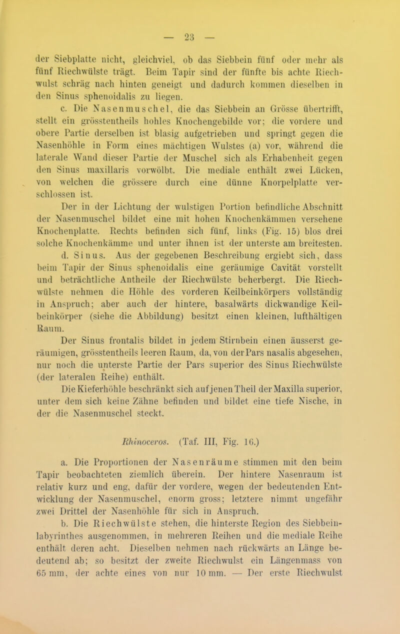 der Siebplatte nicht, gleichviel, ob das Siebbein fünf oder mehr als fünf Riechwülste trägt. Beim Tapir sind der fünfte bis achte Riech- wiilst schräg nach hinten geneigt und dadurch kommen dieselben in den Sinus sphenoidalis zu liegen. c. Die Nasenmuschel, die das Siebbein an Grösse übertritt, stellt ein grösstentheils hohles Knochengebilde vor; die vordere und obere Partie derselben ist blasig aufgetrieben und springt gegen die Nasenhöhle in Form eines mächtigen Wulstes (a) vor, während die laterale Wand dieser Partie der Muschel sich als P^rhabenheit gegen den Sinus maxillaris vorwölbt. Die mediale enthält zwei Lücken, von welchen die grössere durch eine dünne Knorpelplatte ver- schlossen ist. Der in der Lichtung der wulstigen Portion betindliche Abschnitt der Nasenmuschel bildet eine mit hohen Knochenkämmen versehene Knochenplatte. Rechts befinden sich fünf, links (Fig. 15) blos drei solche Knochenkämme und unter ihnen ist der unterste am breitesten. d. Sinus. Aus der gegebenen Beschreibung ergiebt sich, dass beim Tapir der Sinus sphenoidalis eine geräumige Cavität vorstellt und beträchtliche Antheile der Riechwülste beherbergt. Die Riech- wülste nehmen die Höhle des vorderen Keilbeinkörpers vollständig in Anspruch; aber auch der hintere, basalwärts dickwandige Keil- beinkörper (siehe die Abbildung) besitzt einen kleinen, lufthältigen Raum. Der Sinus frontalis bildet in jedem Stirnbein einen äusserst ge- räumigen, grösstentheils leeren Raum, da, von der Pars nasalis abgesehen, nur noch die unterste Partie der Pars superior des Sinus Riechwülste (der lateralen Reihe) enthält. DieKieferh(»hle beschränkt sich auf jenen Theil der Maxilla superior, unter dem sich keine Zähne befinden und bildet eine tiefe Nische, in der die Nasenmuschel steckt. Rhinoceros. (Taf. III, Fig. IG.) a. Die Proportionen der Nasen räume stimmen mit den beim Tapir beobachteten ziemlich überein. Der hintere Nasenraum ist relativ kurz und eng, dafür der vordere, wegen der bedeutenden Ent- wicklung der Nasenmuschel, enorm gross; letztere nimmt ungefähr zwei Drittel der Nasenhöhle für sich in Anspruch. b. Die Riechwülste stehen, die hinterste Region des Siebbein- labyrinthes ausgenommen, in mehreren Reihen und die mediale Reihe enthält deren acht. Dieselben nehmen nach rückwärts an Länge be- deutend ab; so besitzt der zweite Riechwulst ein Längenmass von 65 mm, der achte eines von nur 10 mm. — Der erste Riechwulst